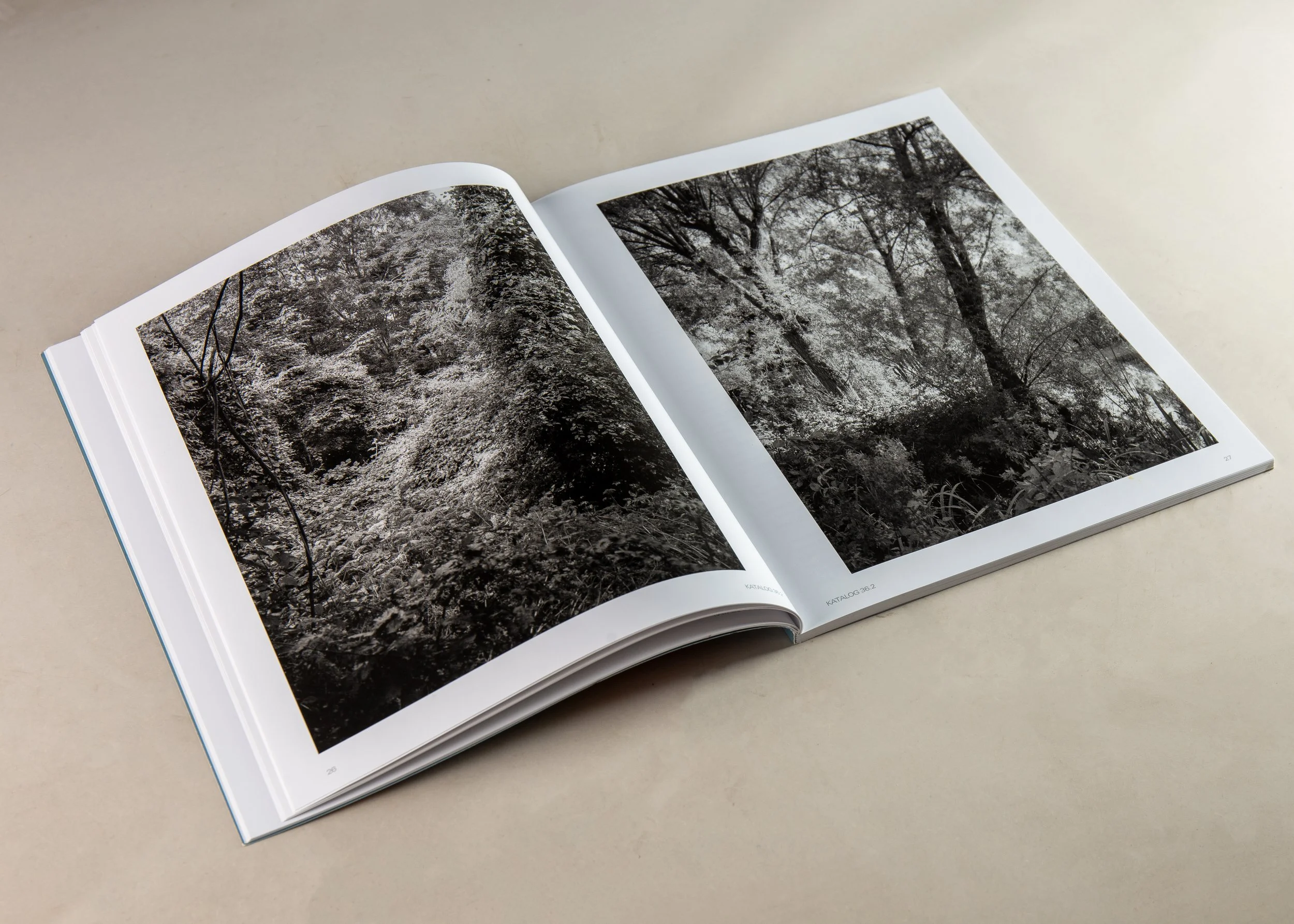 IMG_8048 kopier.jpg
