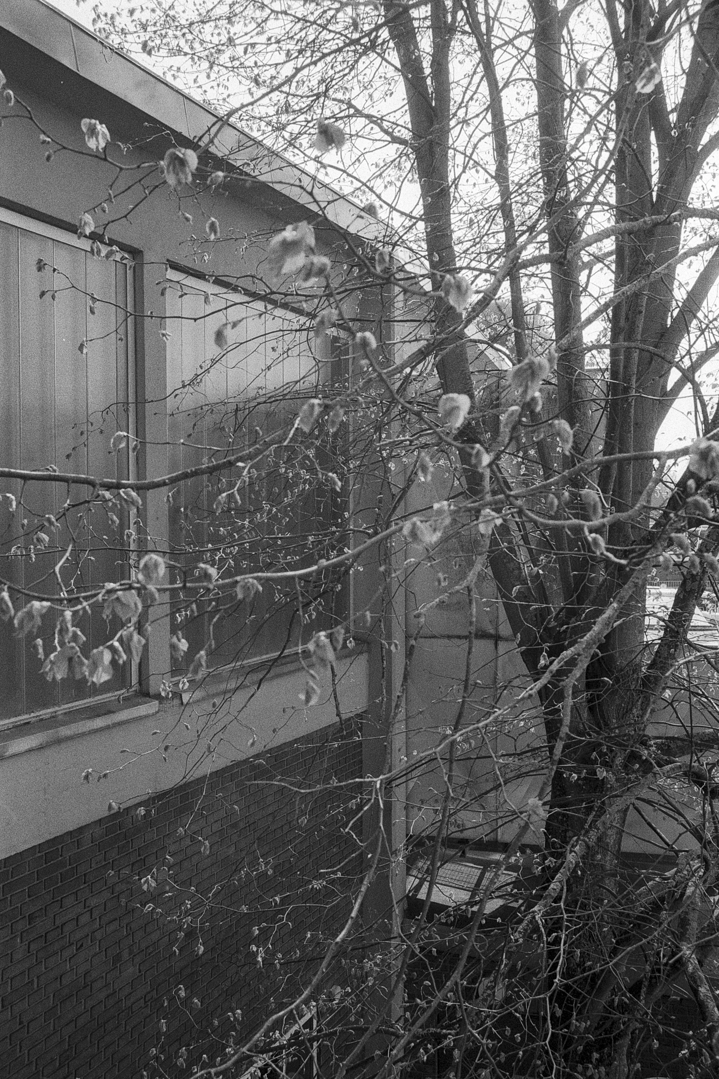 m6 ny (477) kopier.jpg