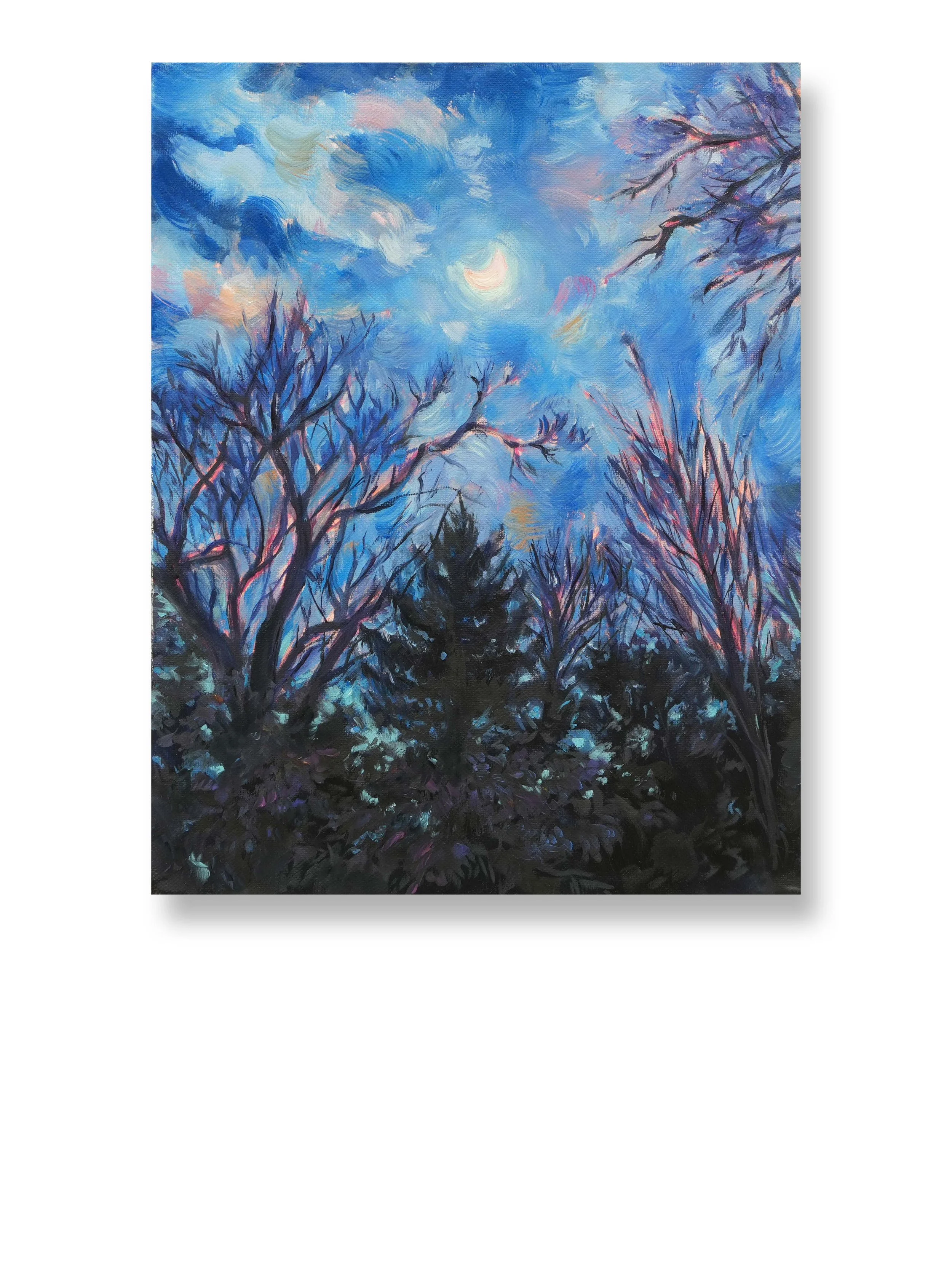 Anna-Wilmott-Night-Walk-300DPI_AR.jpg