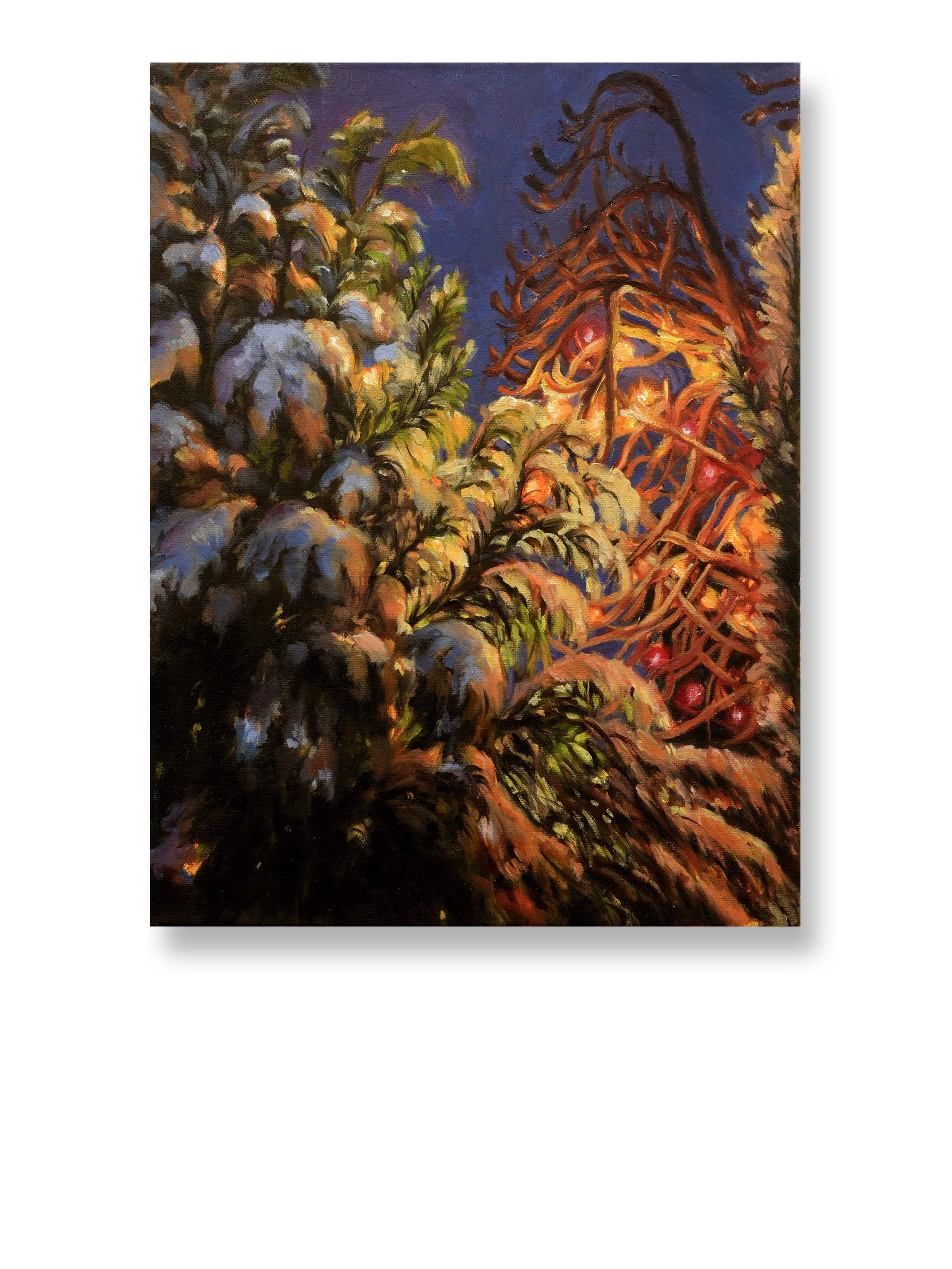 Anna-Wilmott-Silent-Night-300DPI_AR.jpg