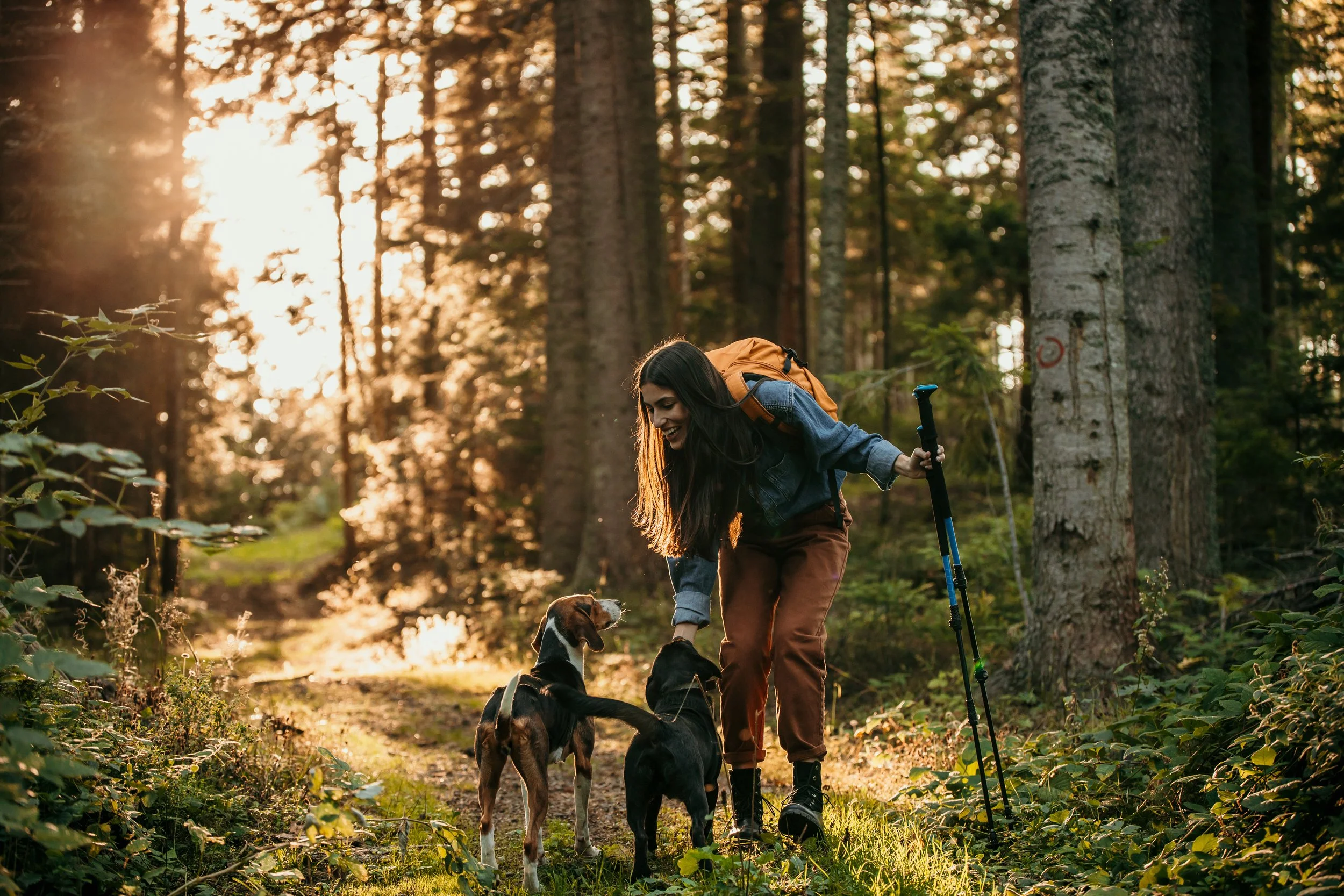 How Weather Impacts Your Dog’s Skin, Nose, and Paw Health Year-Round