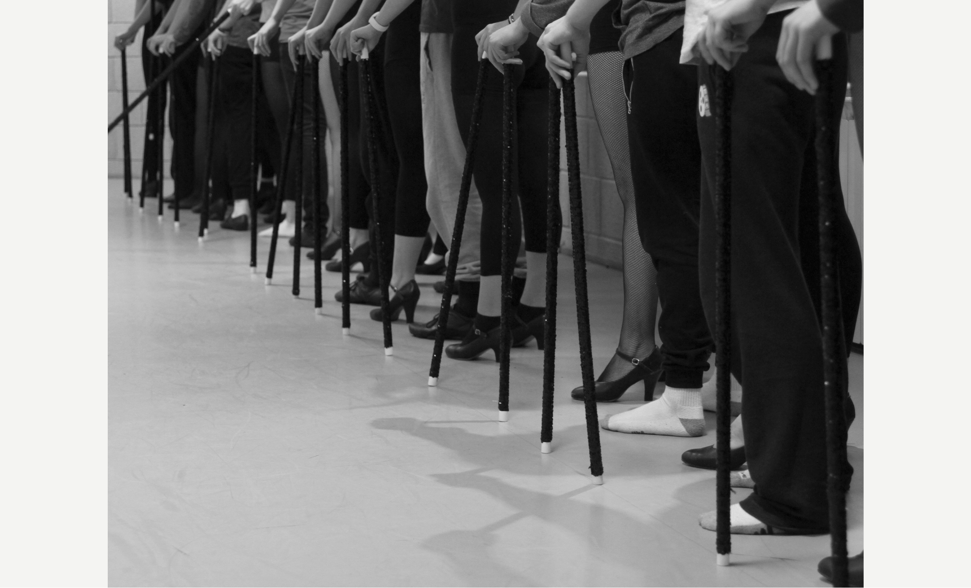 Tonicha Website - Directing - Line with Canes.png