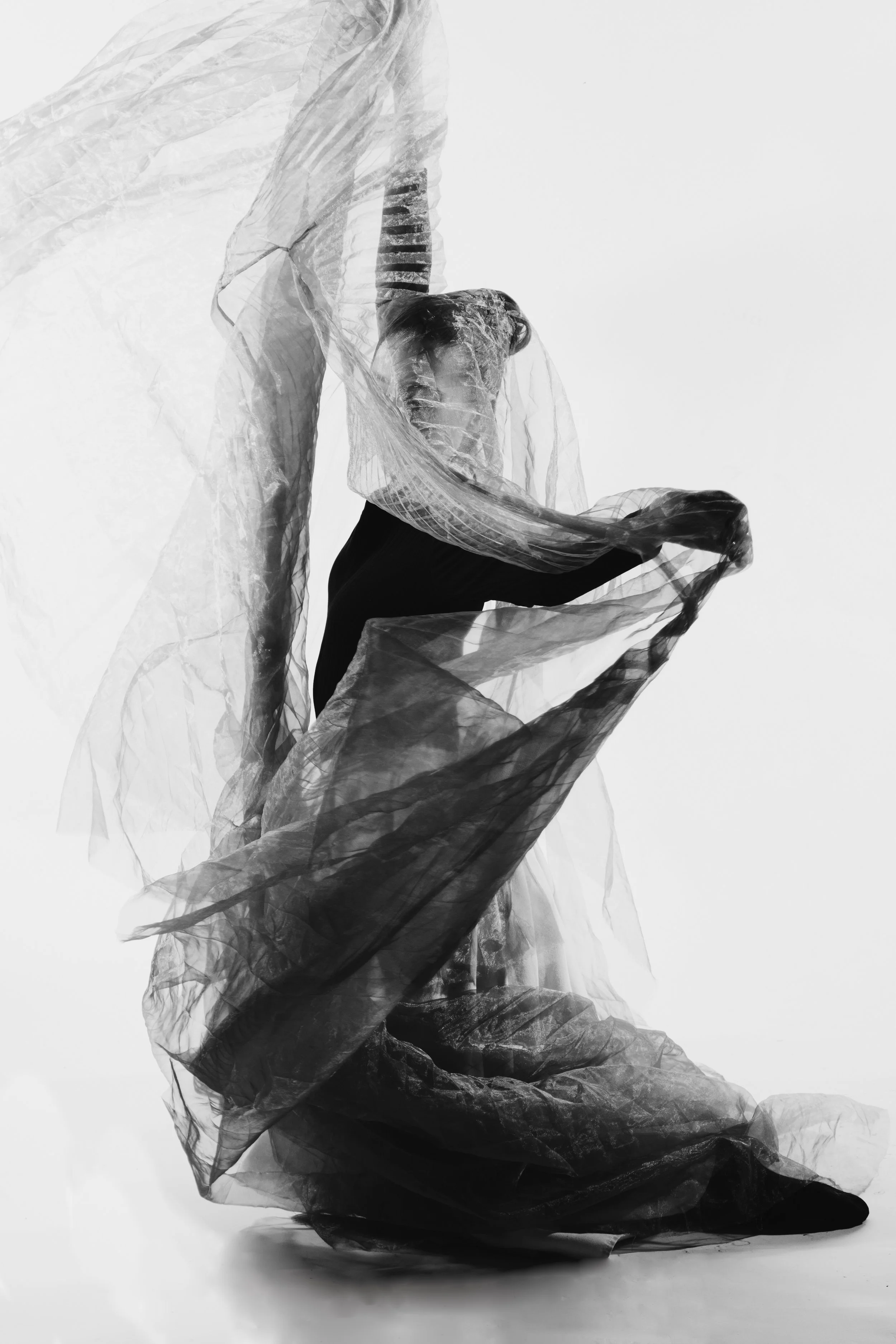 Dance Movement 10270.jpeg