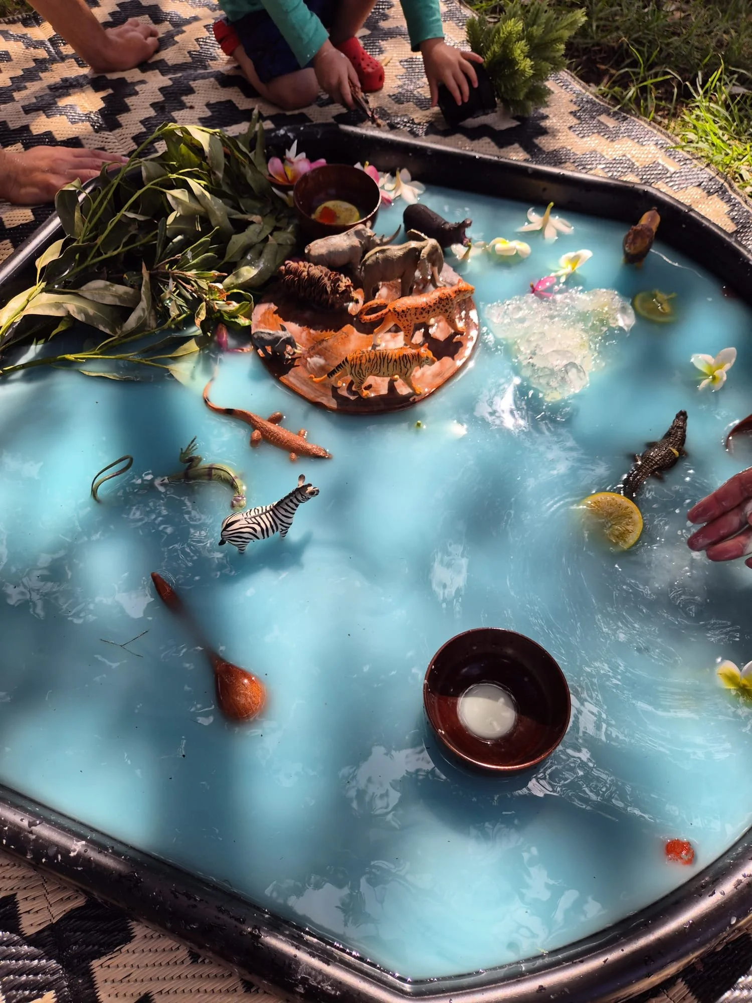 Outdoor sensory play tray with toy animals, leaves and flowers in water at a Curious Little Learners session in Sydney