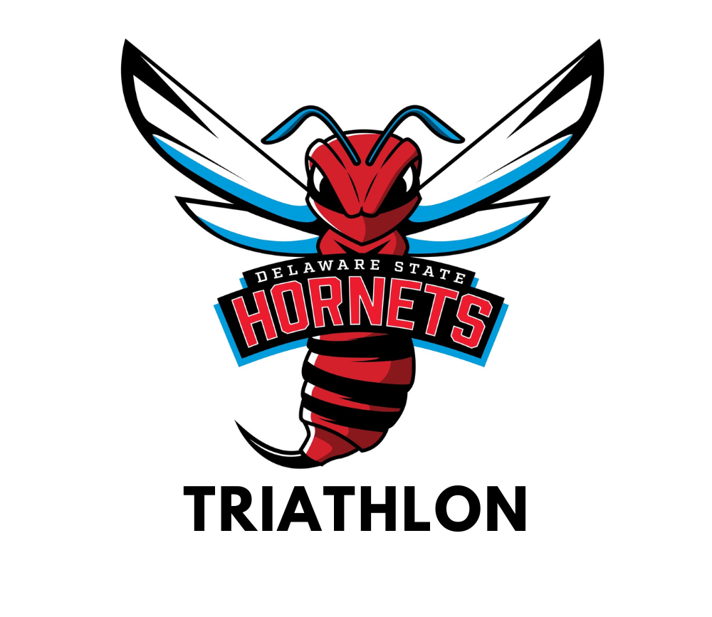 DSU Triathlon