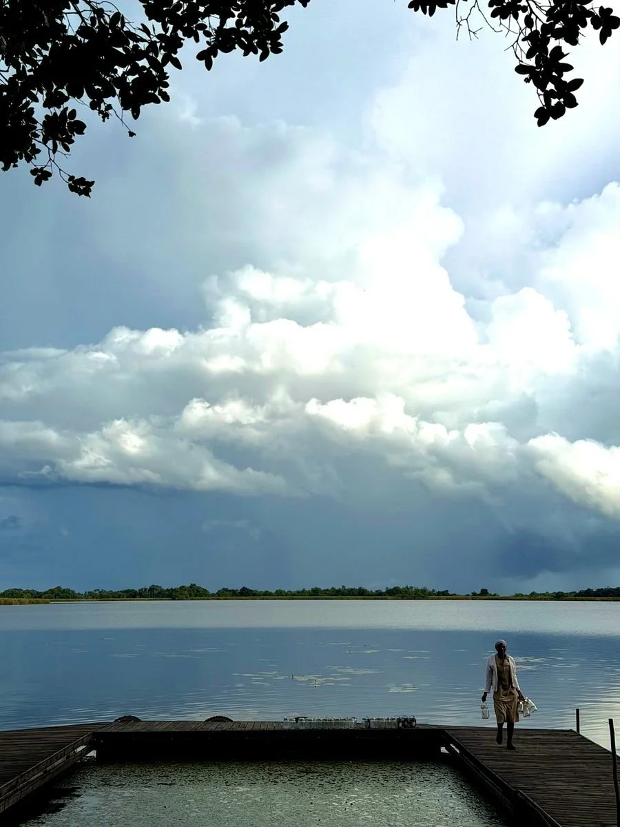 A person walking on a wooden dock beside a large body of water, with trees in the distance and a cloudy sky overhead at the lagoon, Okavango Delta.