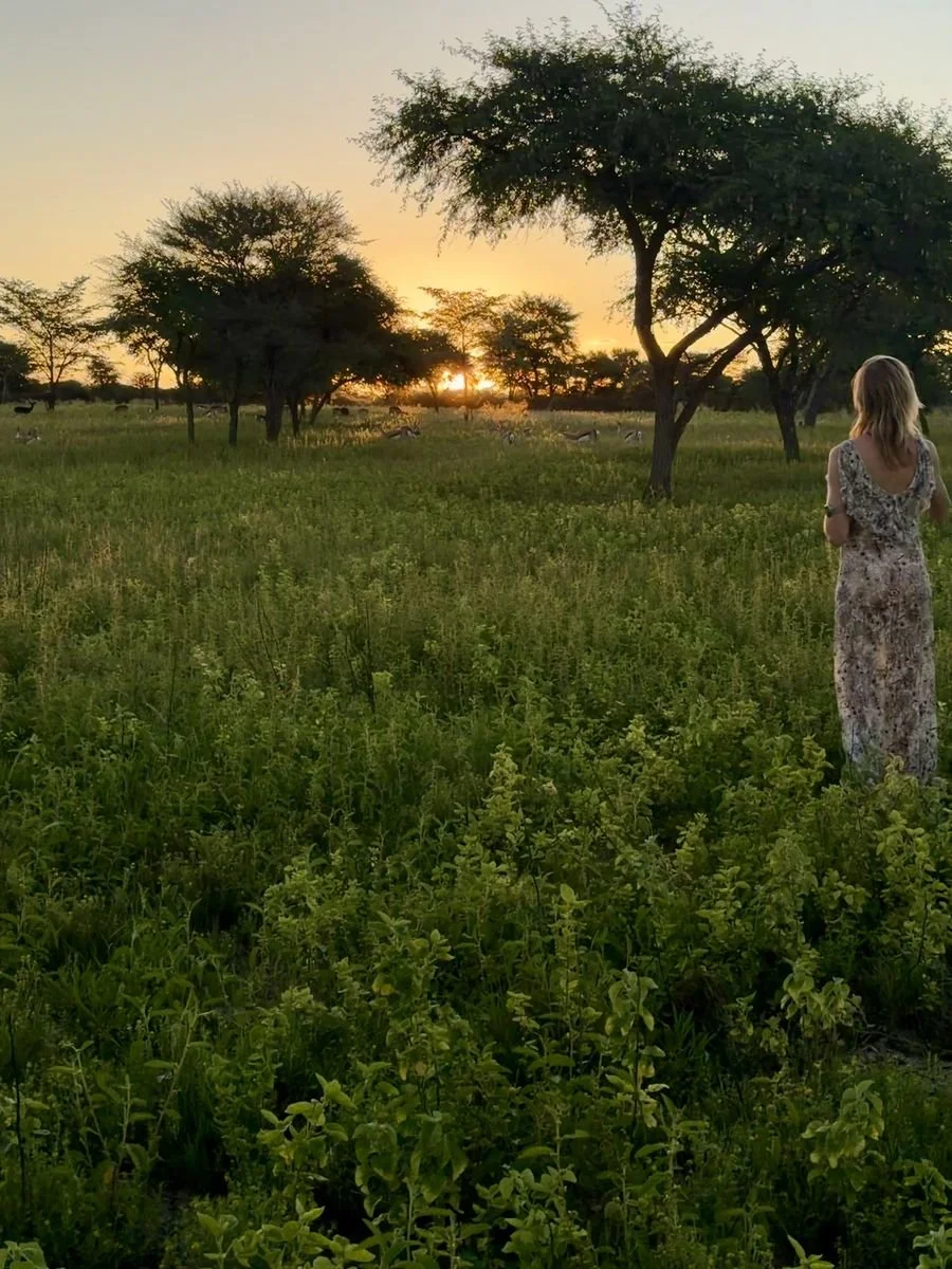 Safari at Sunset Botswana