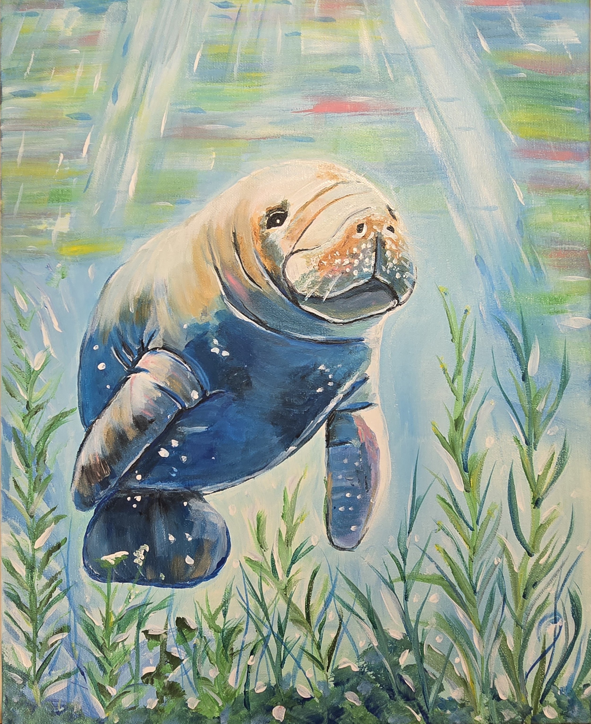 Manatee
