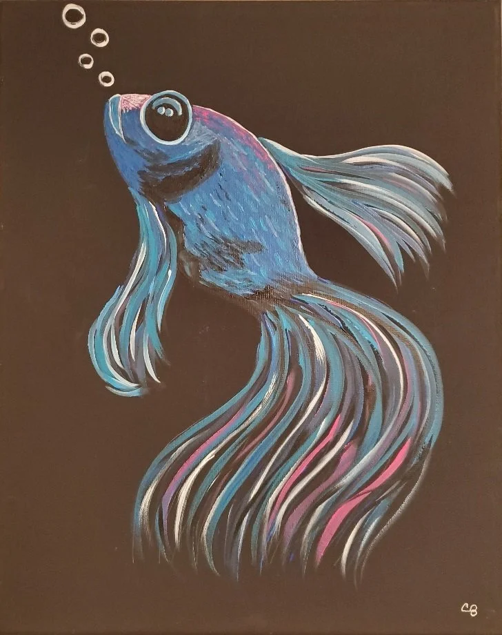 Betta Fish
