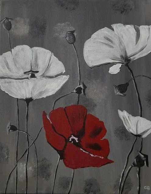 Red and White Poppies