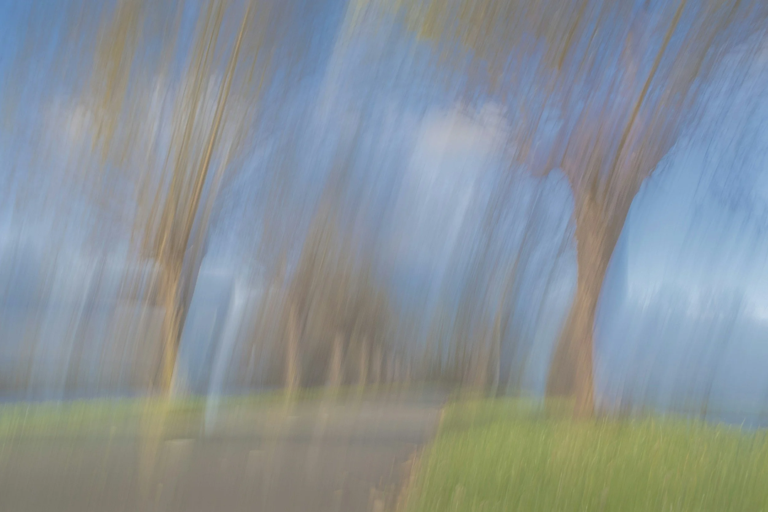 Blurred image of trees and grass with a motion effect, creating a sense of movement.