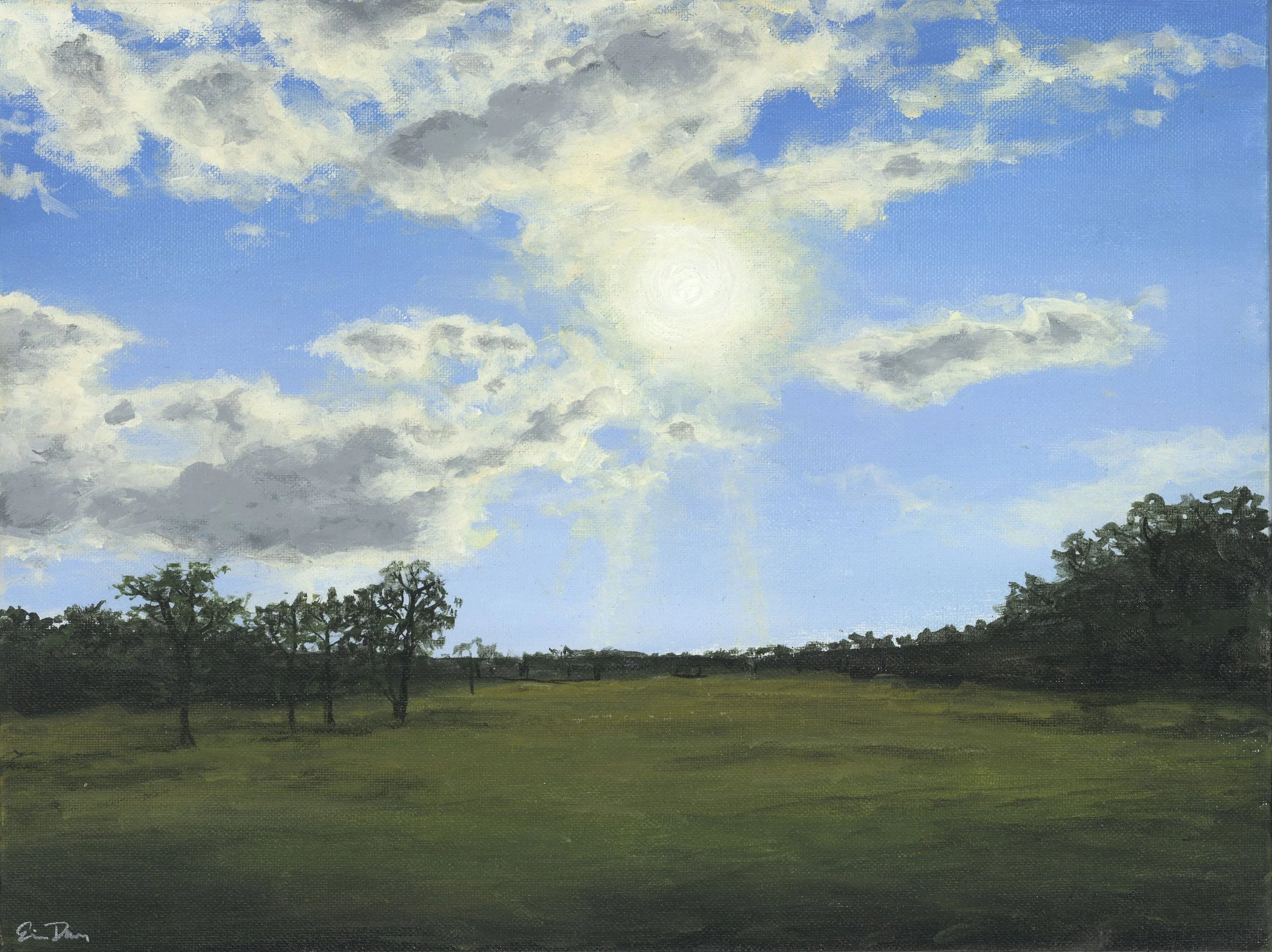Oat Patch Rapture - 12” x 16” Original Landscape Painting
