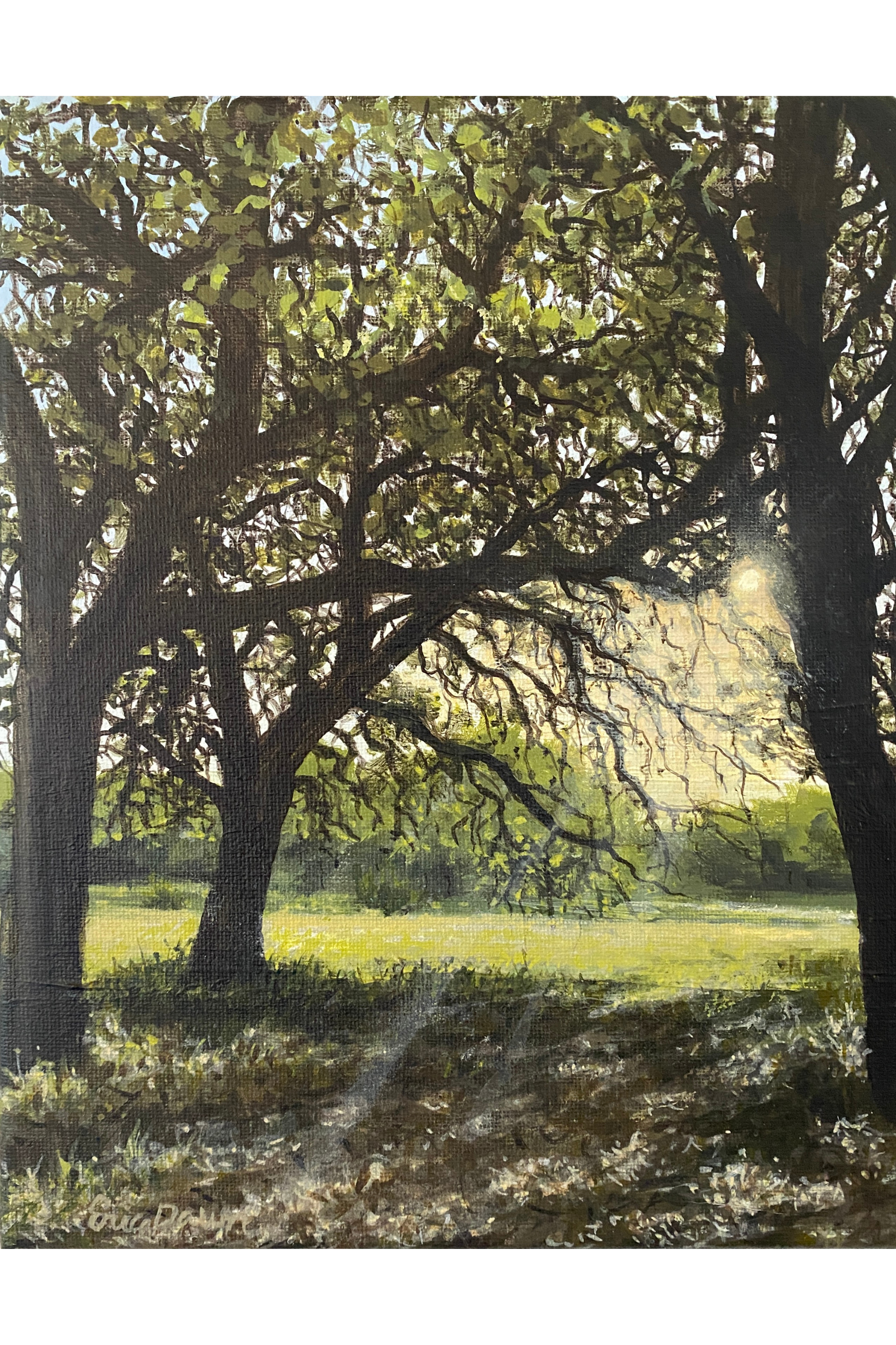 Shadow Sanctuary - 10” x 8” Original Landscape Painting
