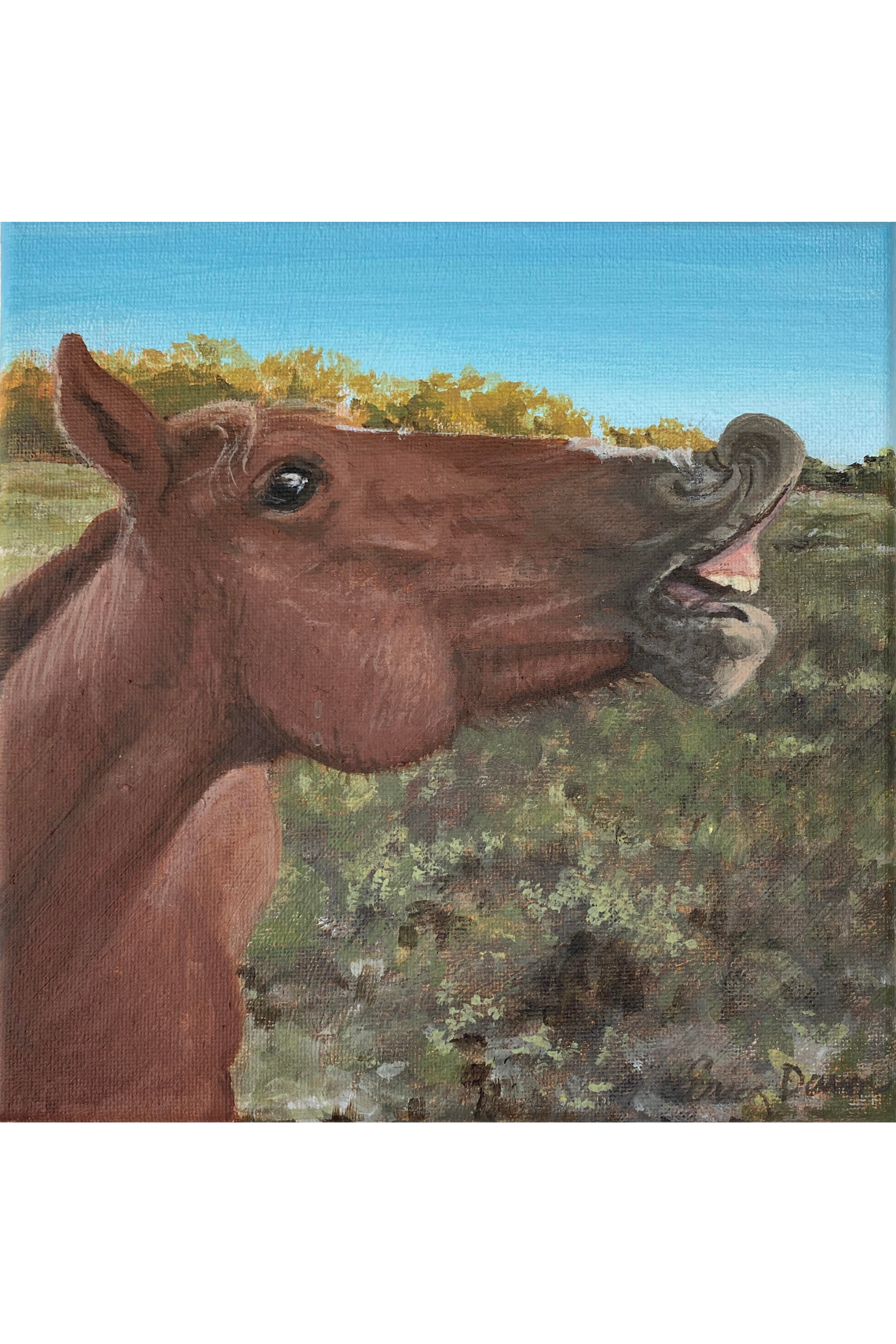 straight from the horses mouth 2 webstore.png