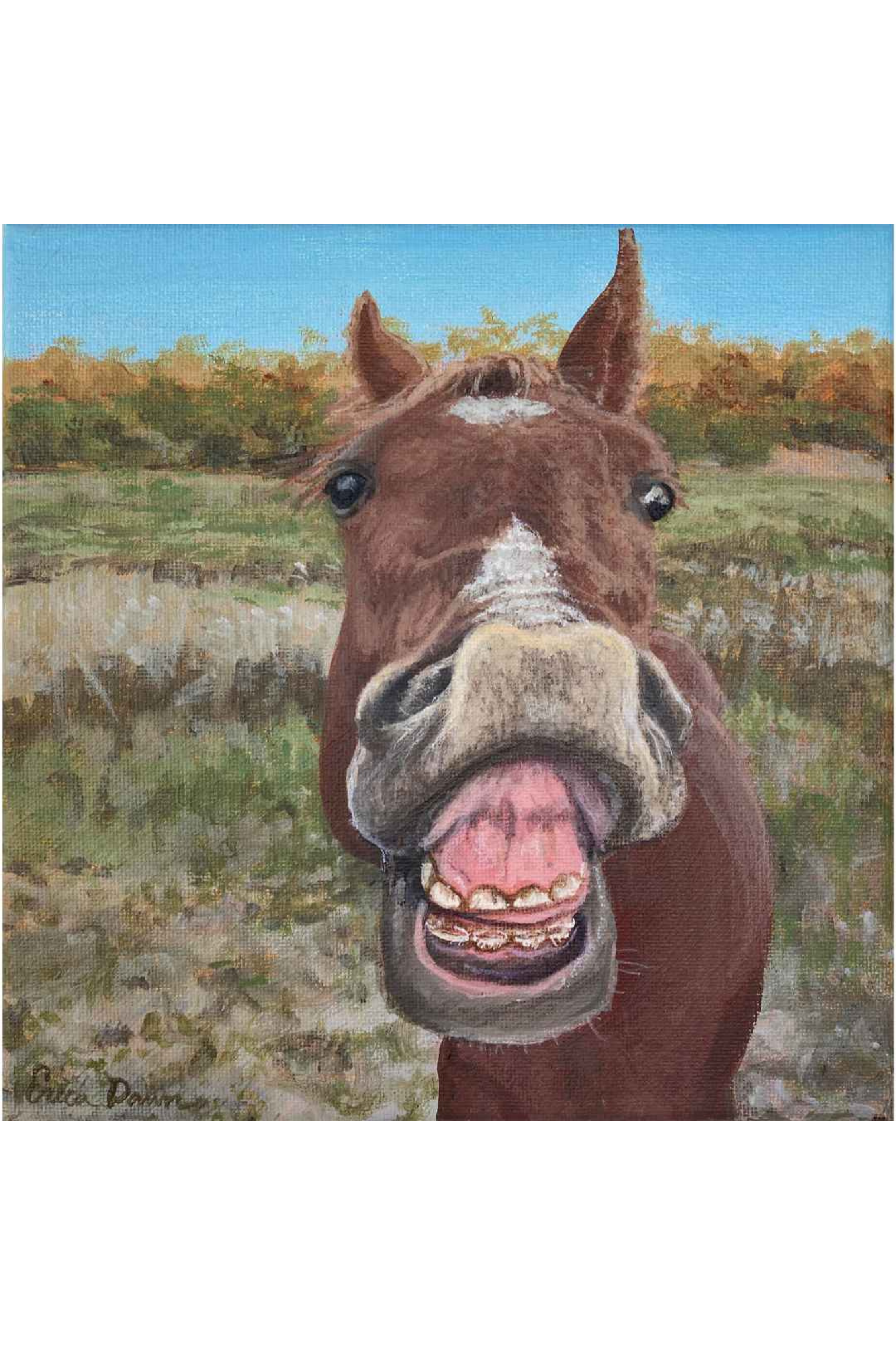 straight from the horses mouth1 webstore.png
