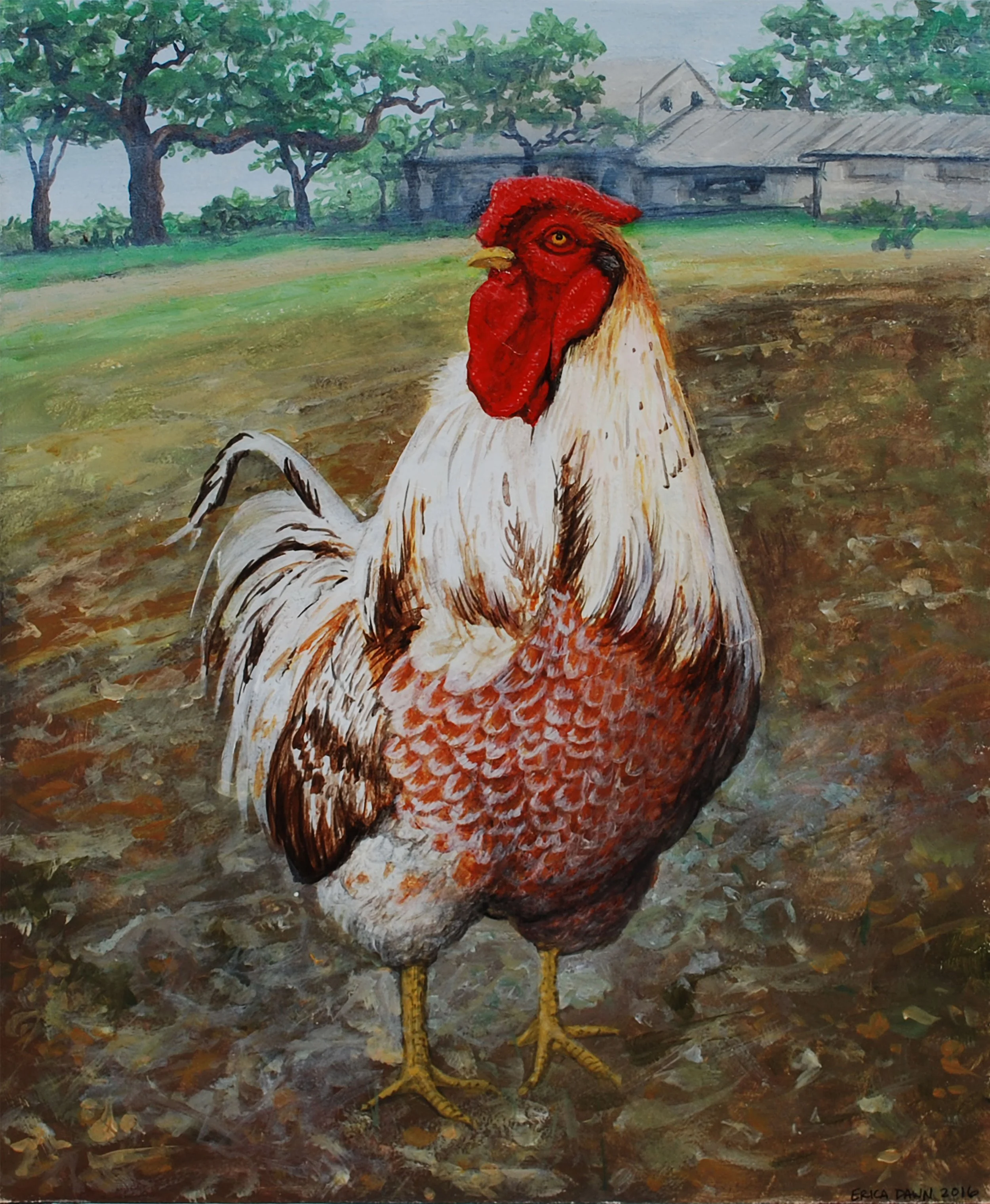 Portrait of a Rooster