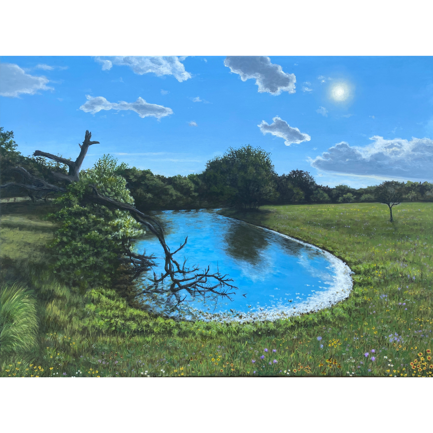 spring oasis website.png