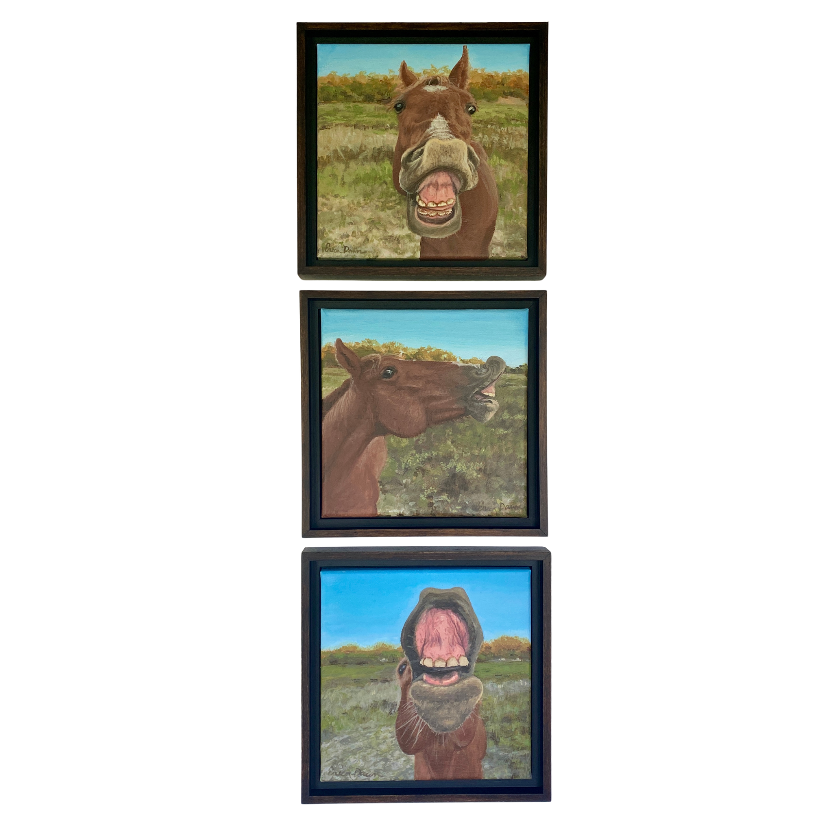 Straight from the Horse’s Mouth - Original Horse Triptych