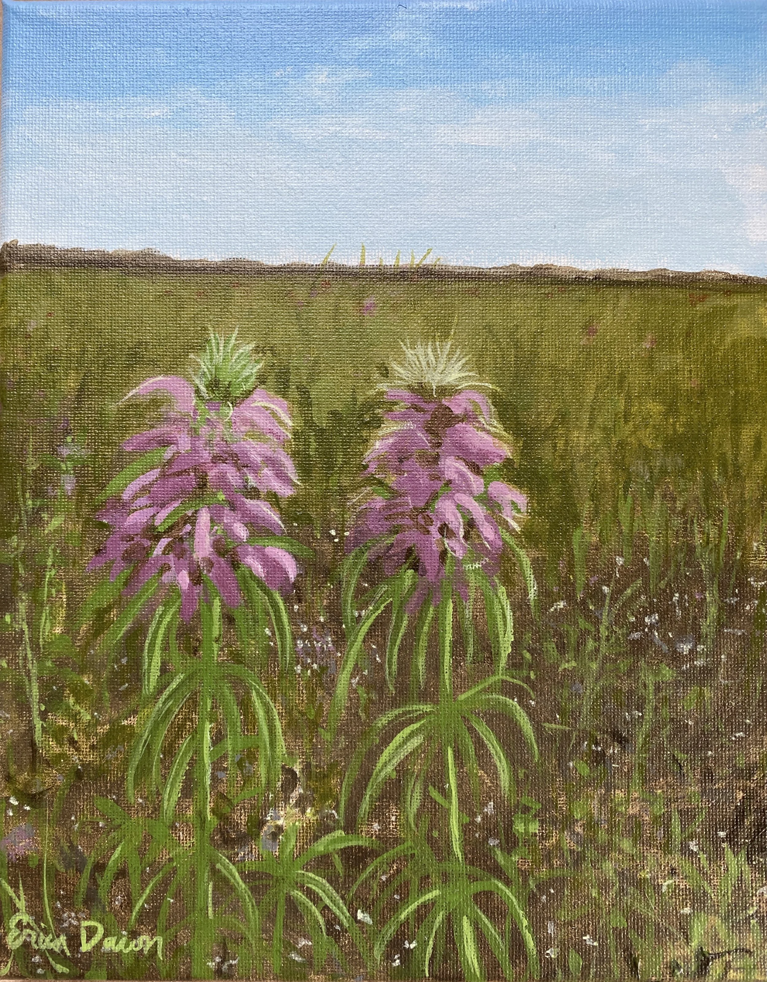 Bee Balm Besties - 10” x 8” Original Texas Wildflower Painting