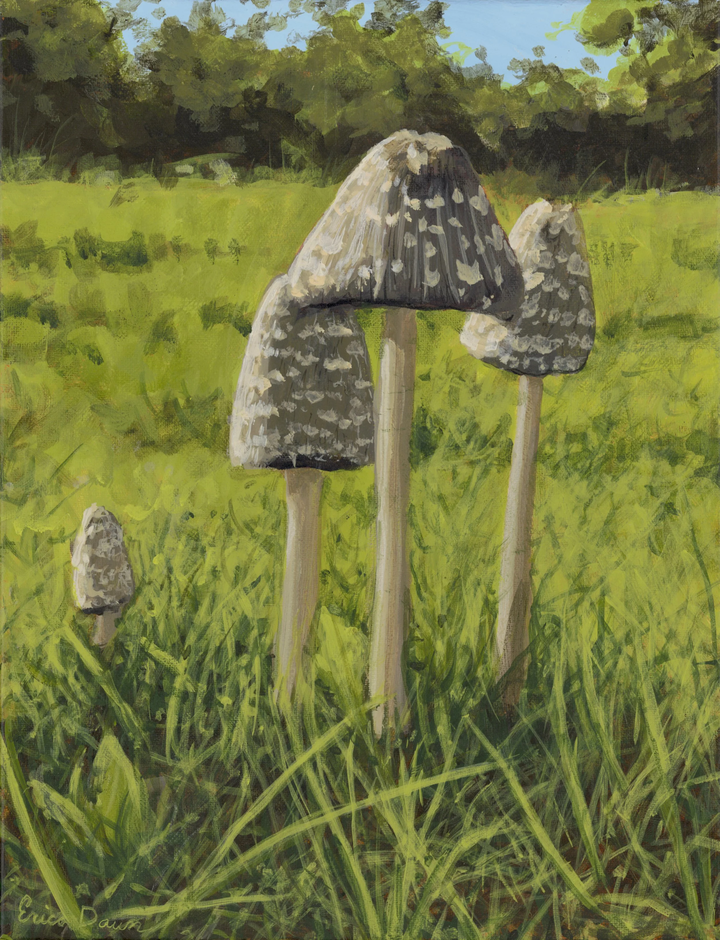 Inkcaps in the Sun - 9"x 12" Fine Art Print