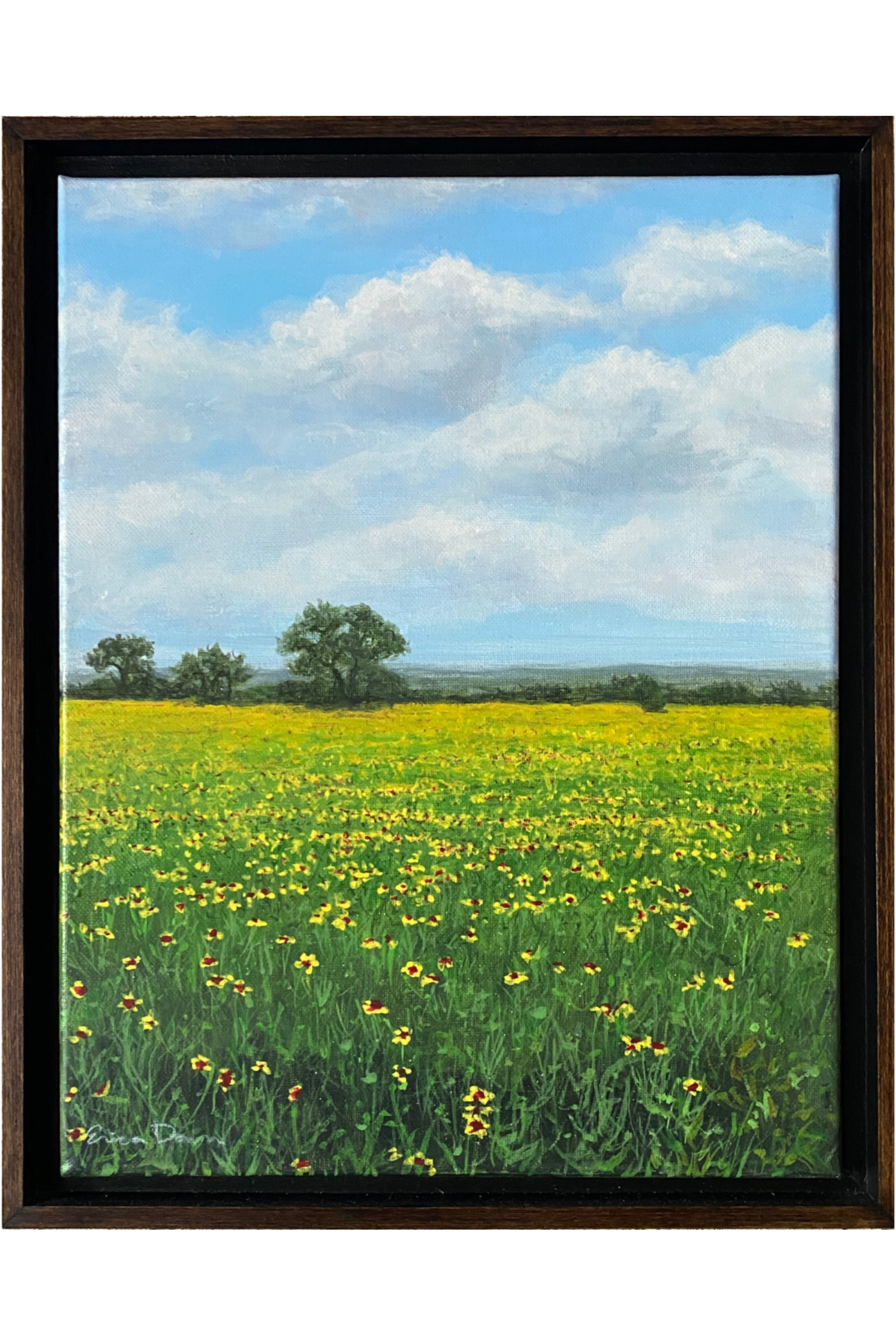Meadow Reverie - 11” x 14” Original Wildflower Landscape