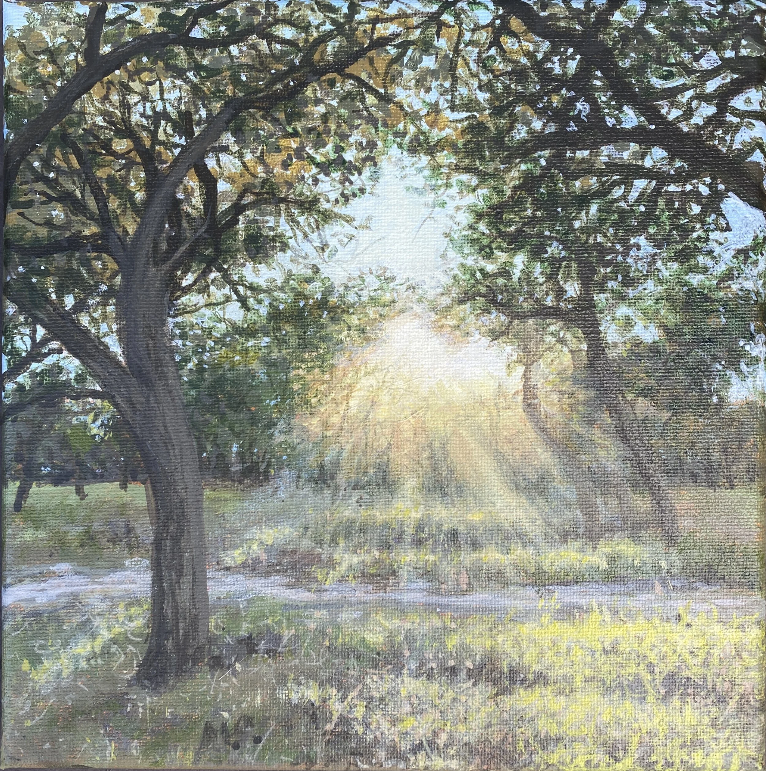 Radiant Moment - 8” x 8” Original Landscape Painting