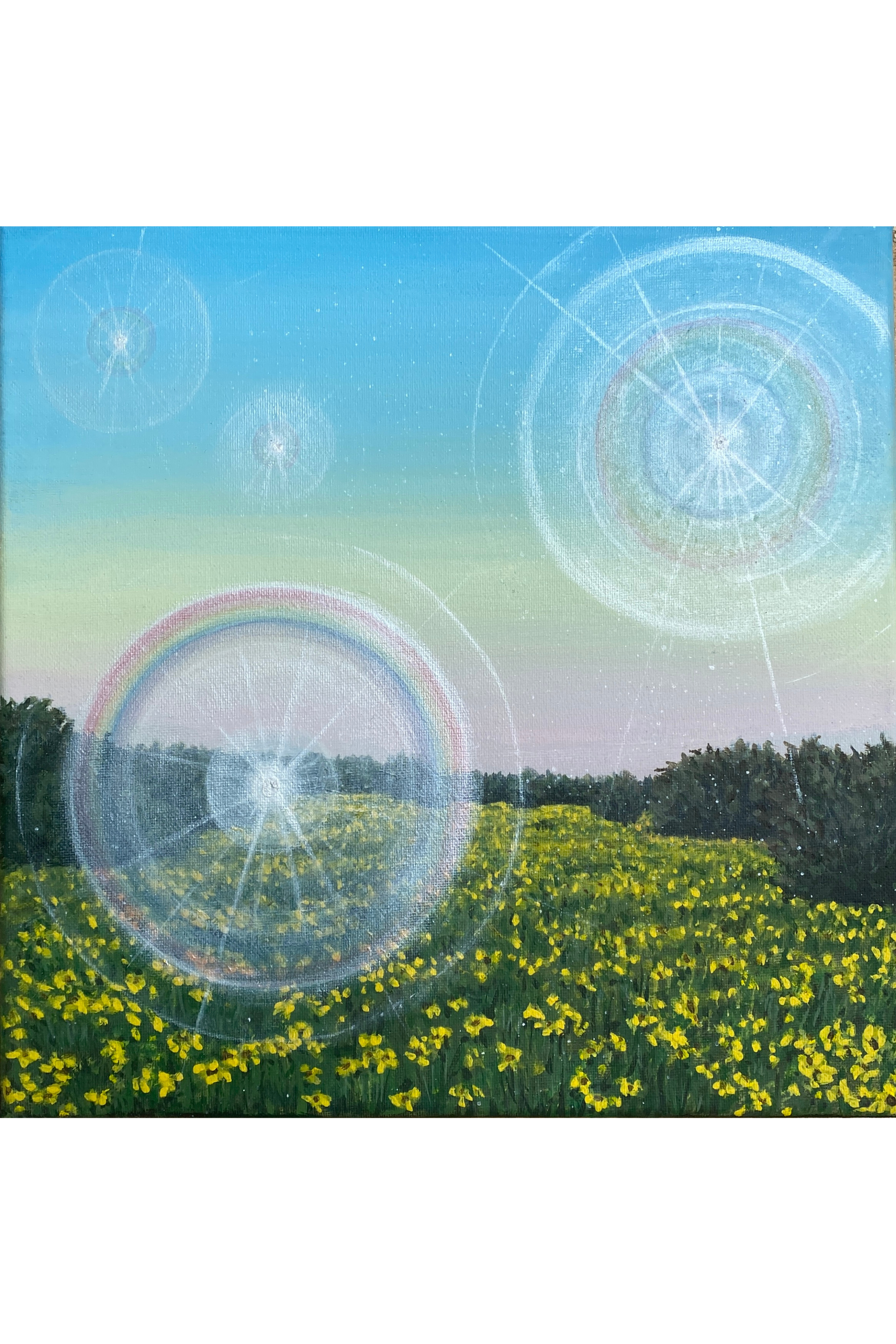 Hill Country Magic | 12” x 12” Original Texas Landscape Painting