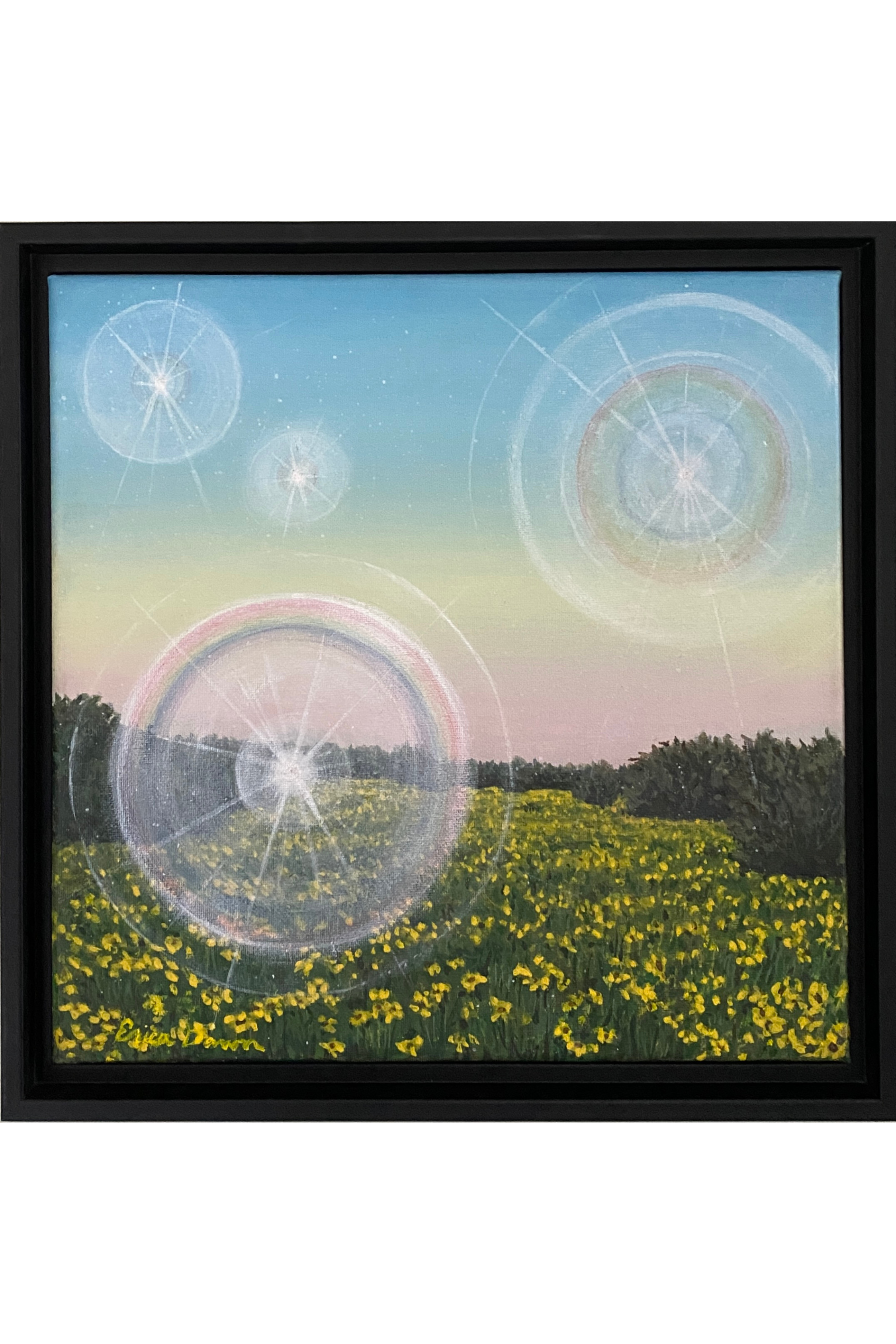 hill country magic framed webstore.png