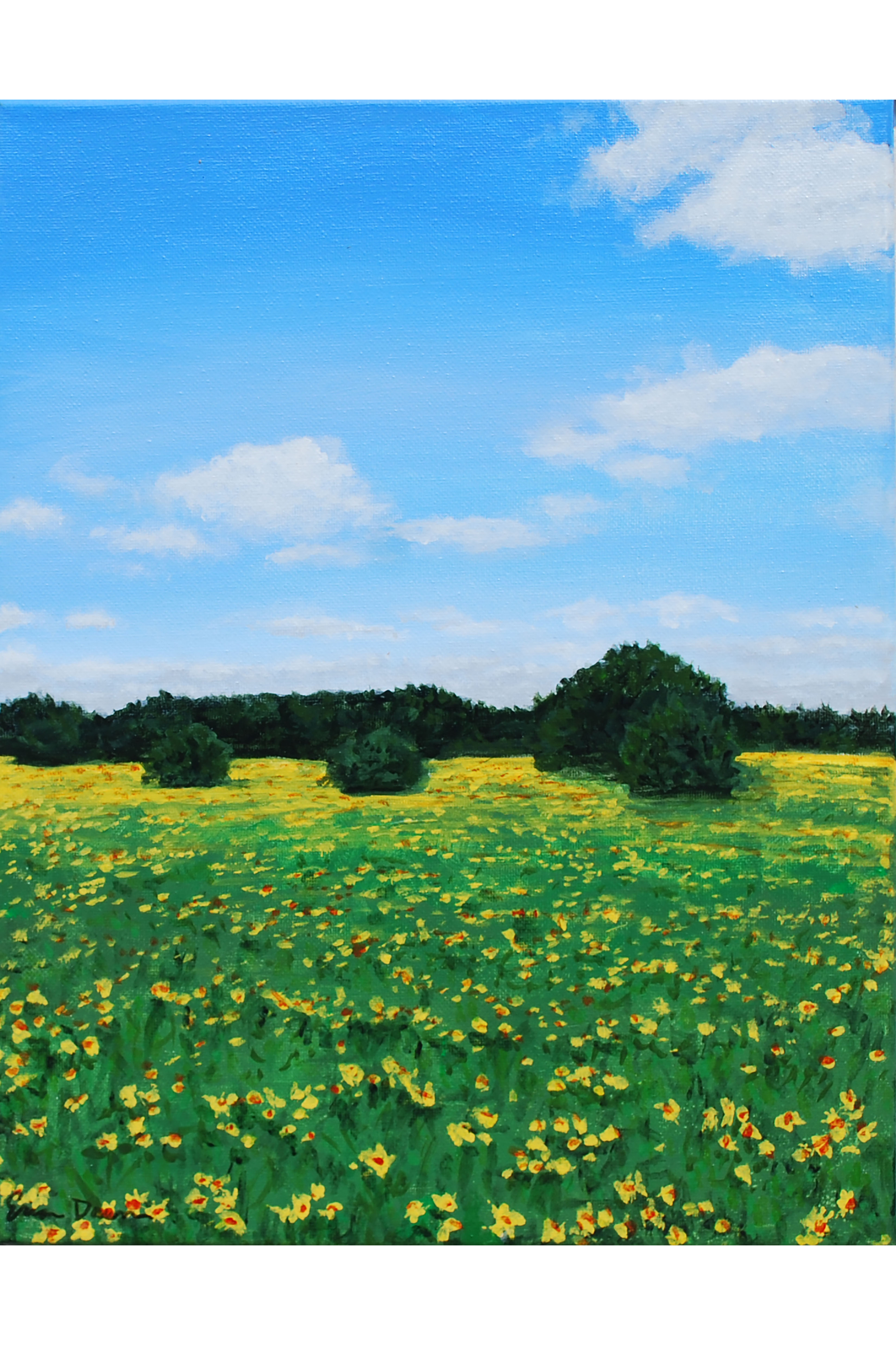 Field of Hope - 11” x 14” Original Wildflower Landscape