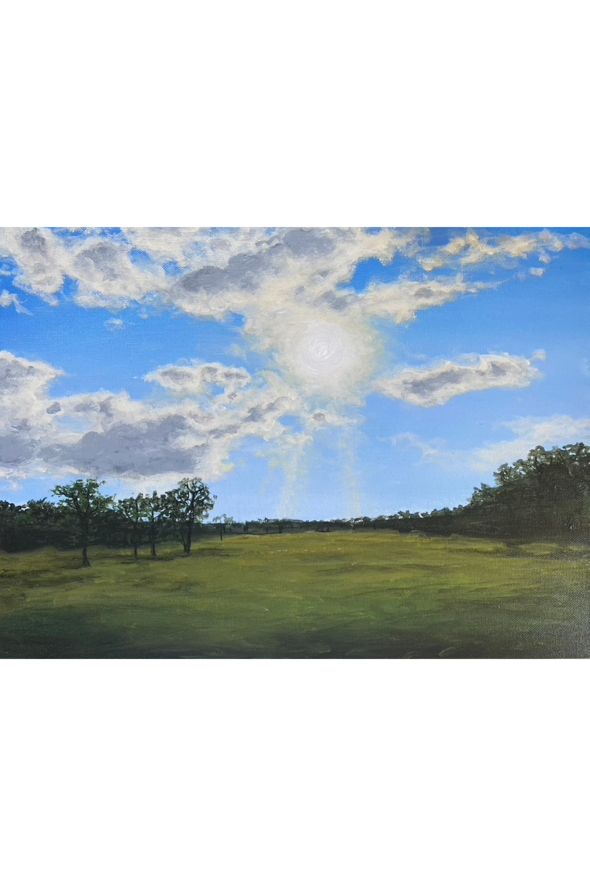 Oat Patch Rapture - 16"x 20" Fine Art Print