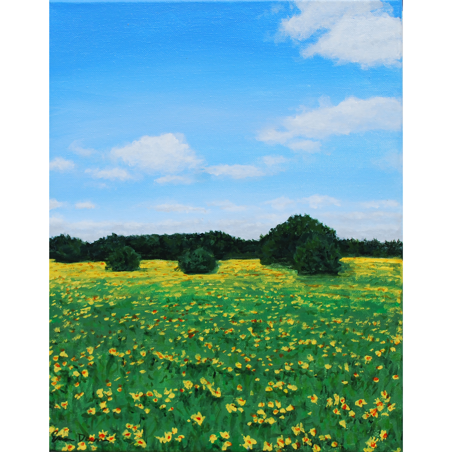 Field of Hope website.png