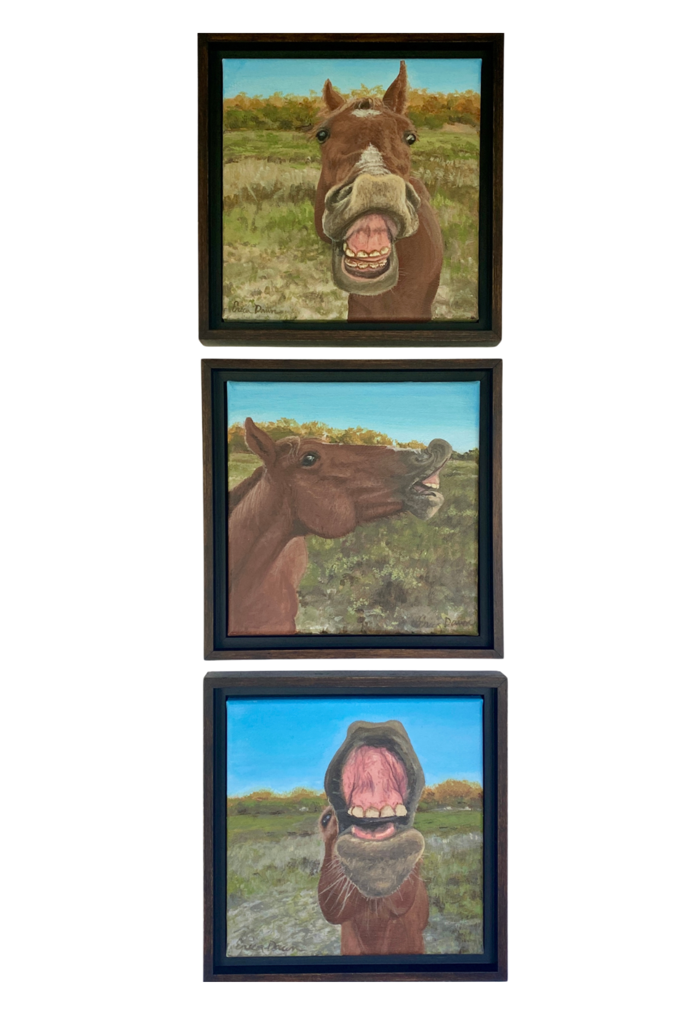 Straight from the Horse’s Mouth - Original Horse Triptych