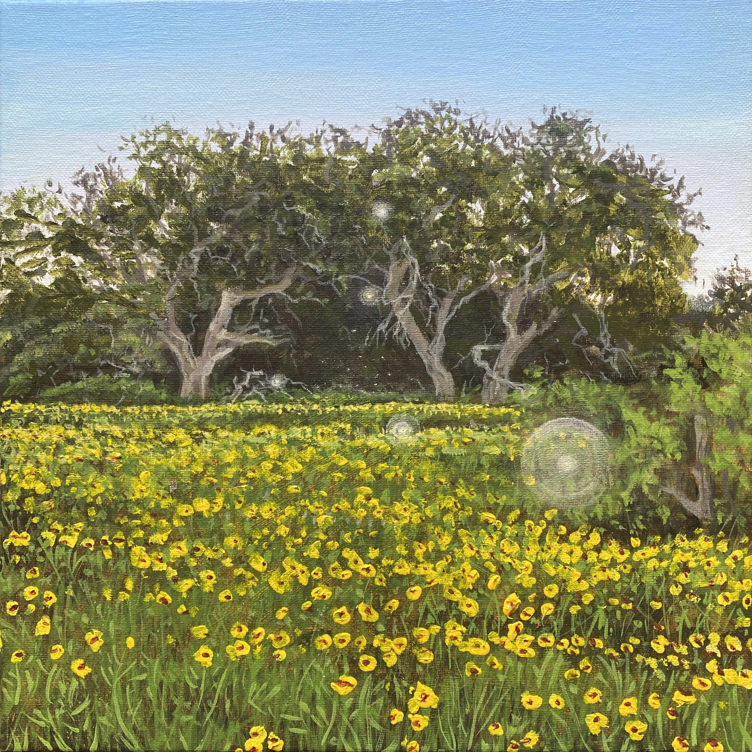 The Portal - 12” x 12” Original Landscape Painting