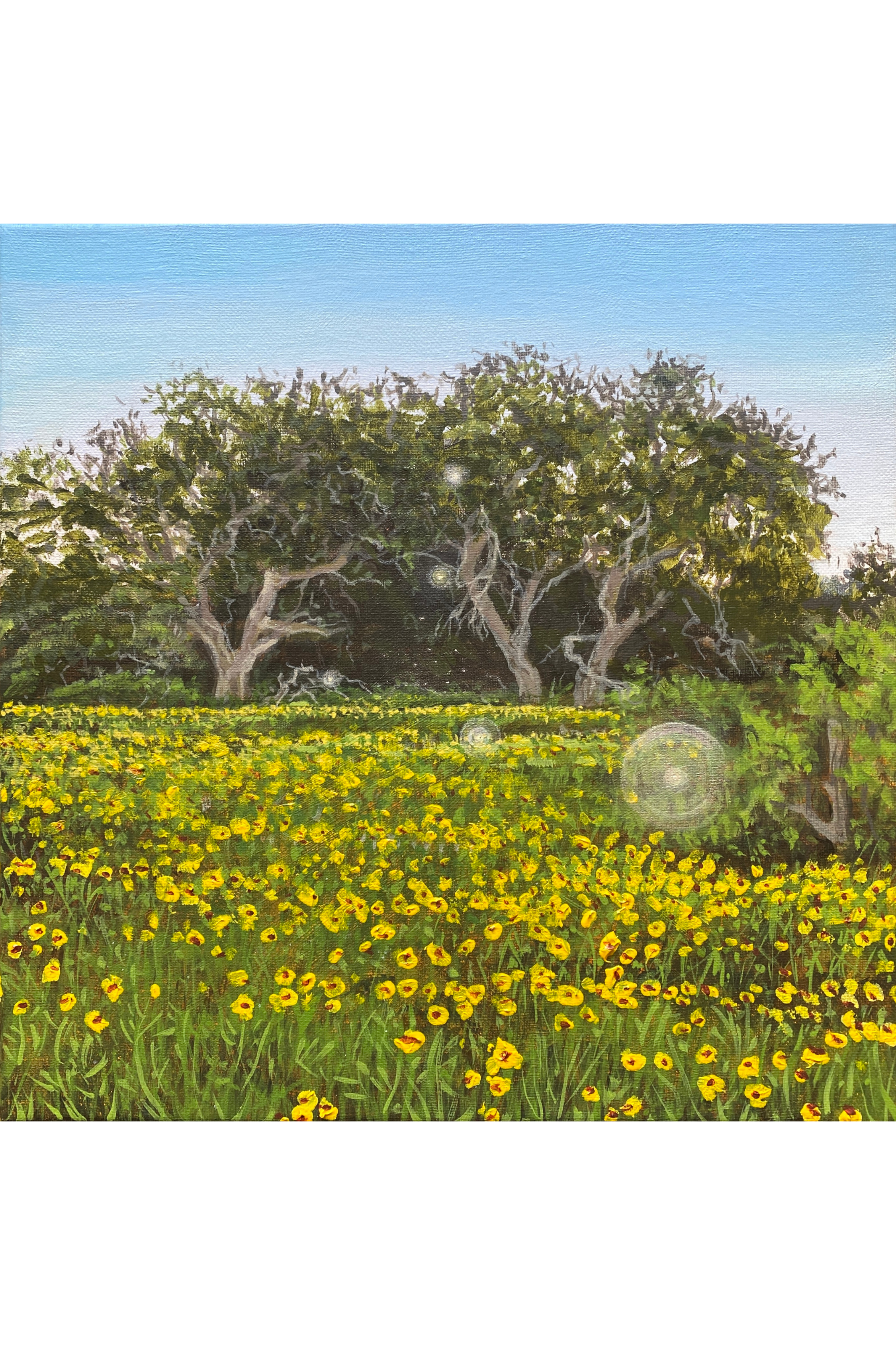 The Portal - 12” x 12” Original Landscape Painting