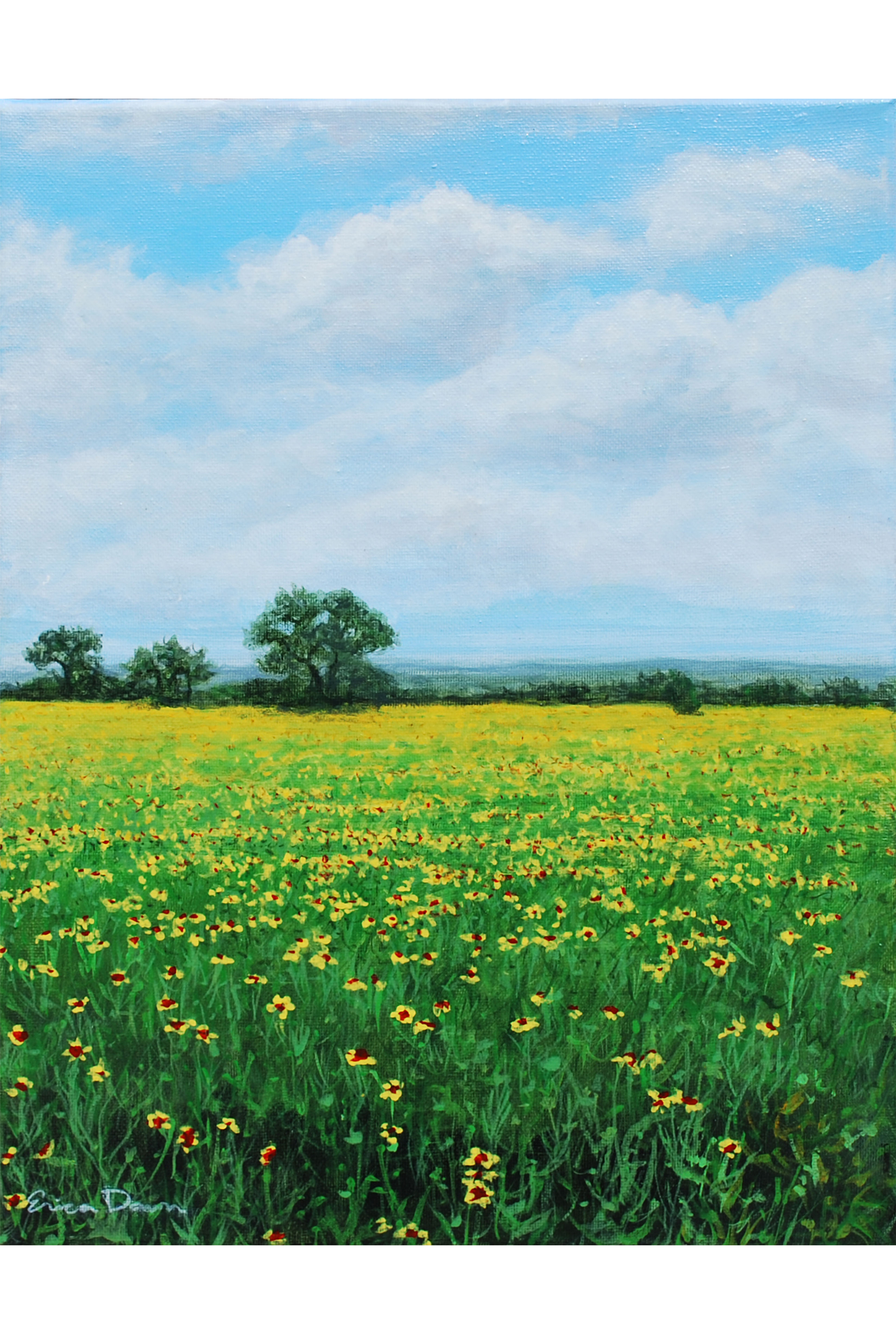 meadow reverie webstore.png
