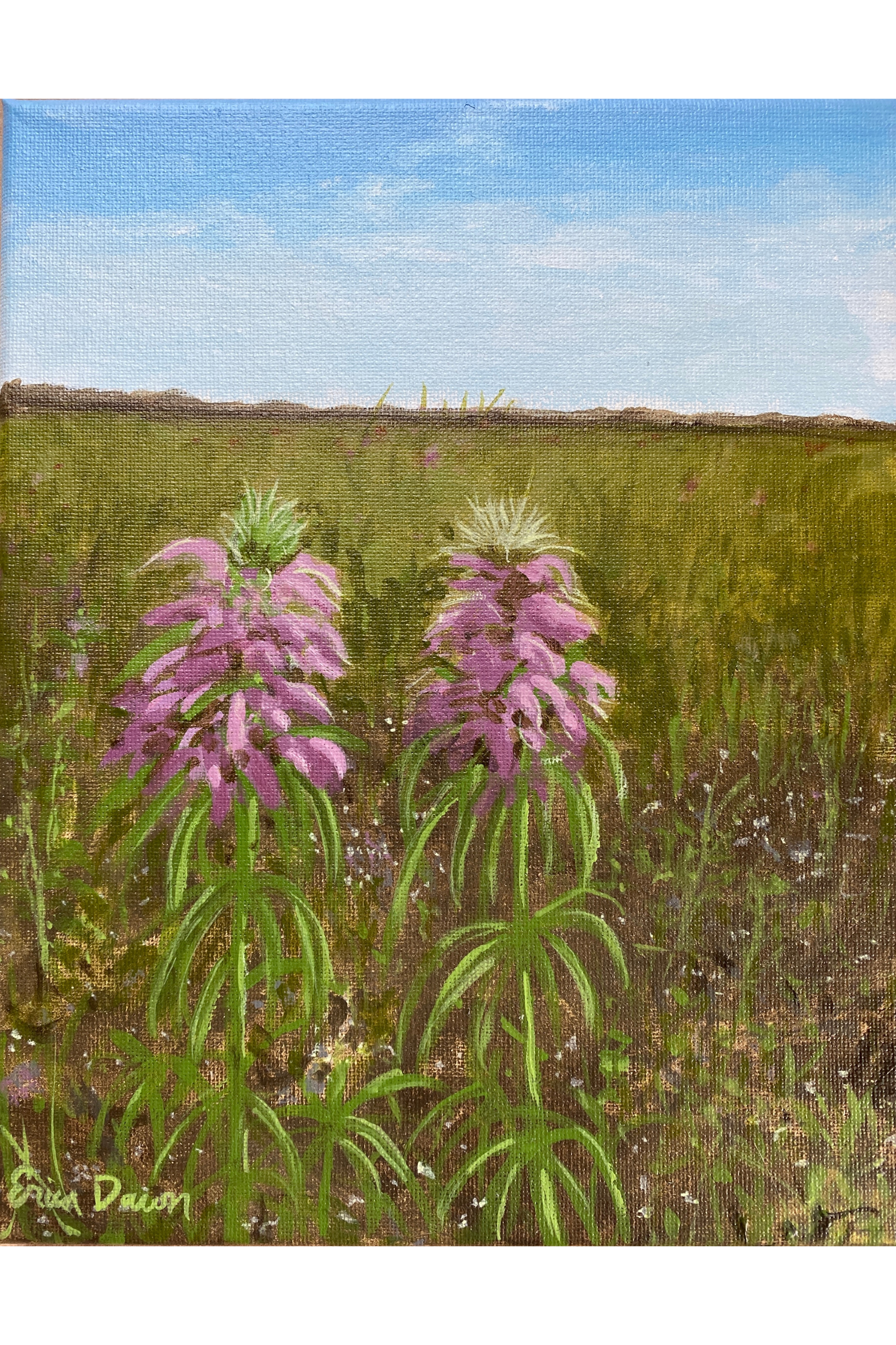 Bee Balm Besties - 10” x 8” Original Texas Wildflower Painting