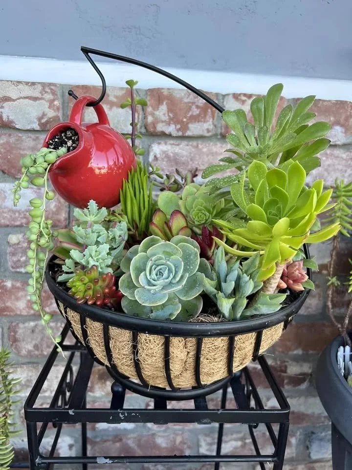 succulent and sip.jpg