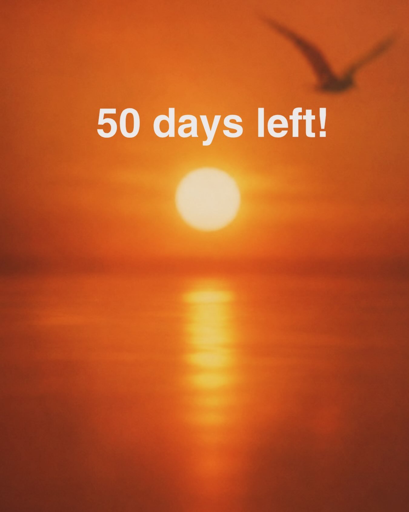 With only 50 days to go, we are happy to announce that the RSVP link will be released tomorrow. Stay tuned!