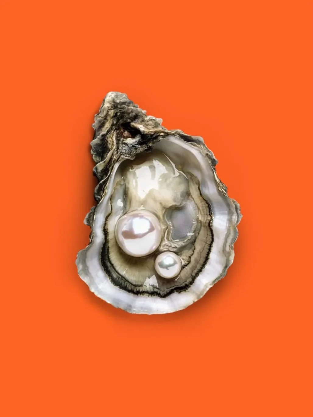 Hello everyone! We just ordered 4000 oysters. Our oyster bar opens at 13:00 - and they&rsquo;re free while they last! Come early, grab a plate, and enjoy.