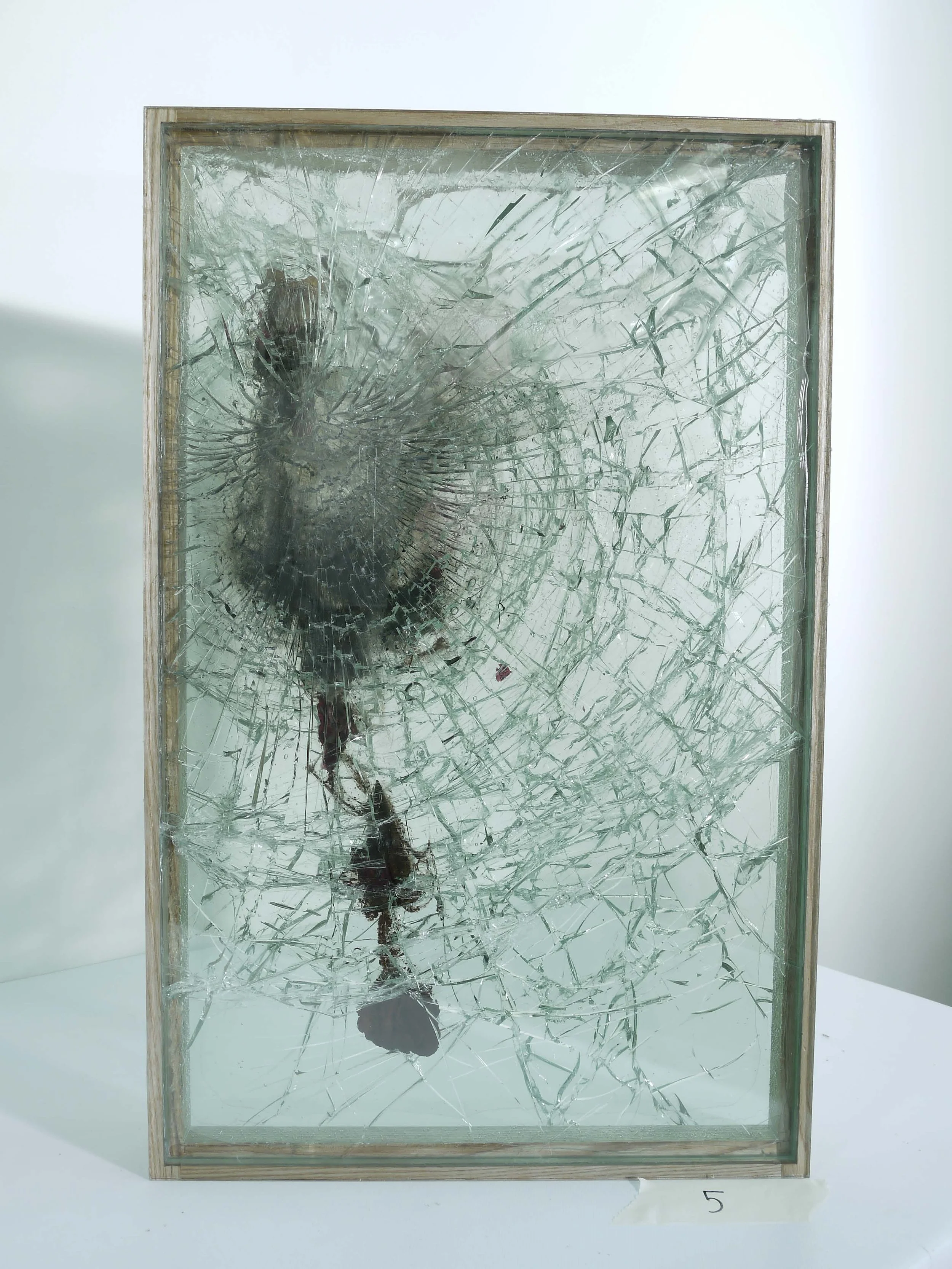 explosions vivien Roubaud V5.jpg
