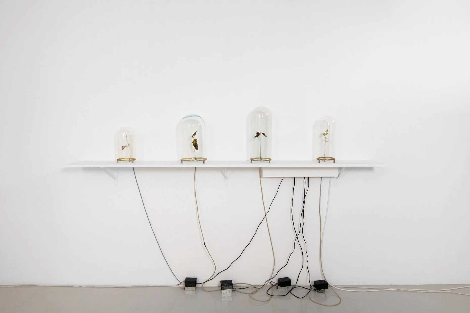 Vivien_Roubaud_Papillon_Installation.jpg