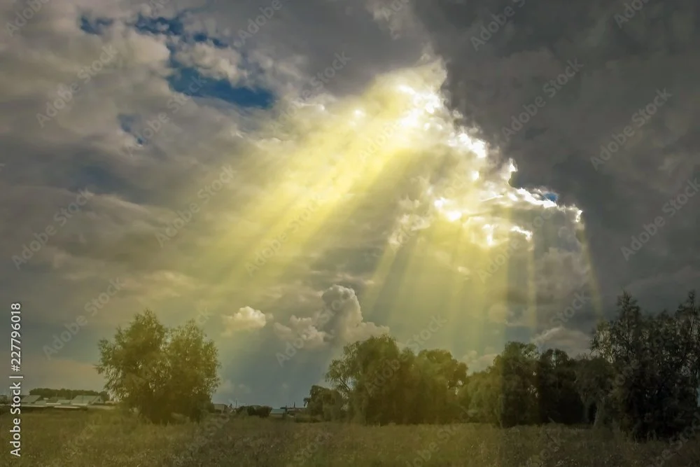 Sun rays breaking through cloudy sky over a grassy field with trees.