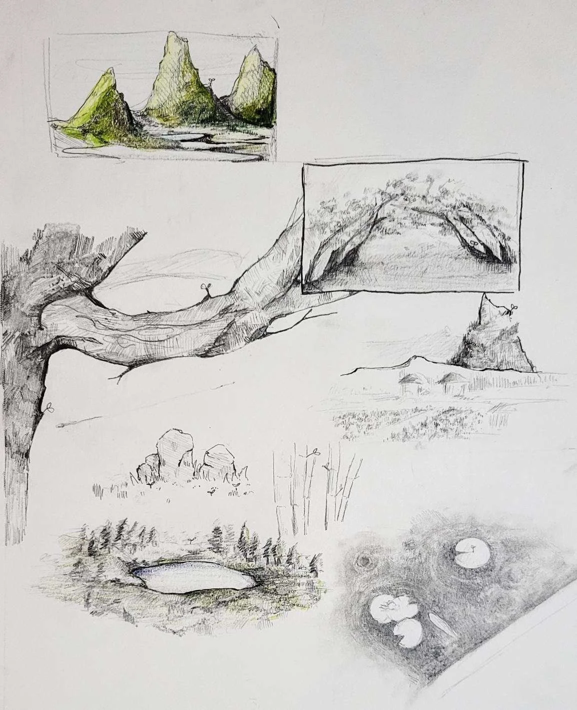 nature study 2 2021.jpg