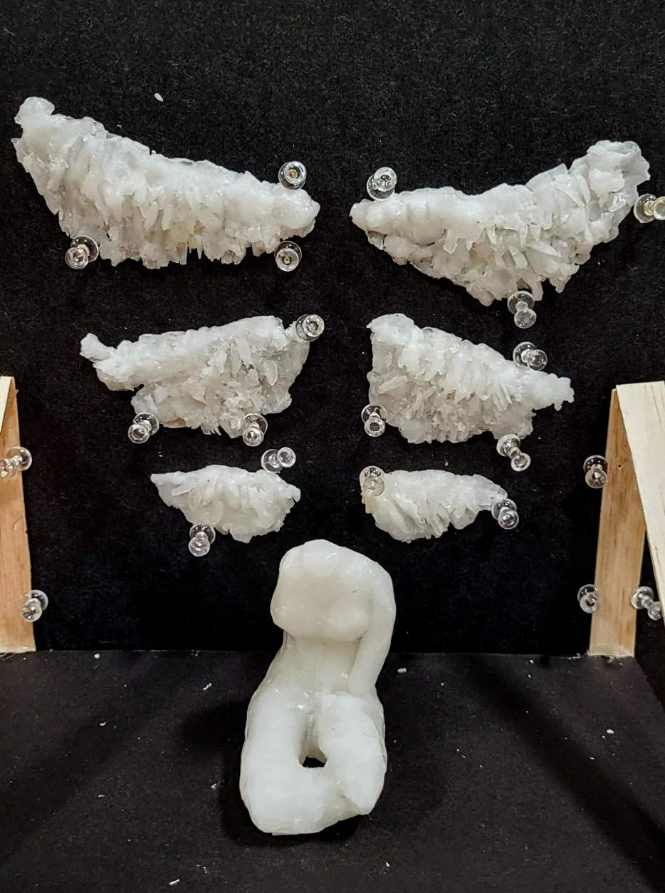 angel wings.jpg