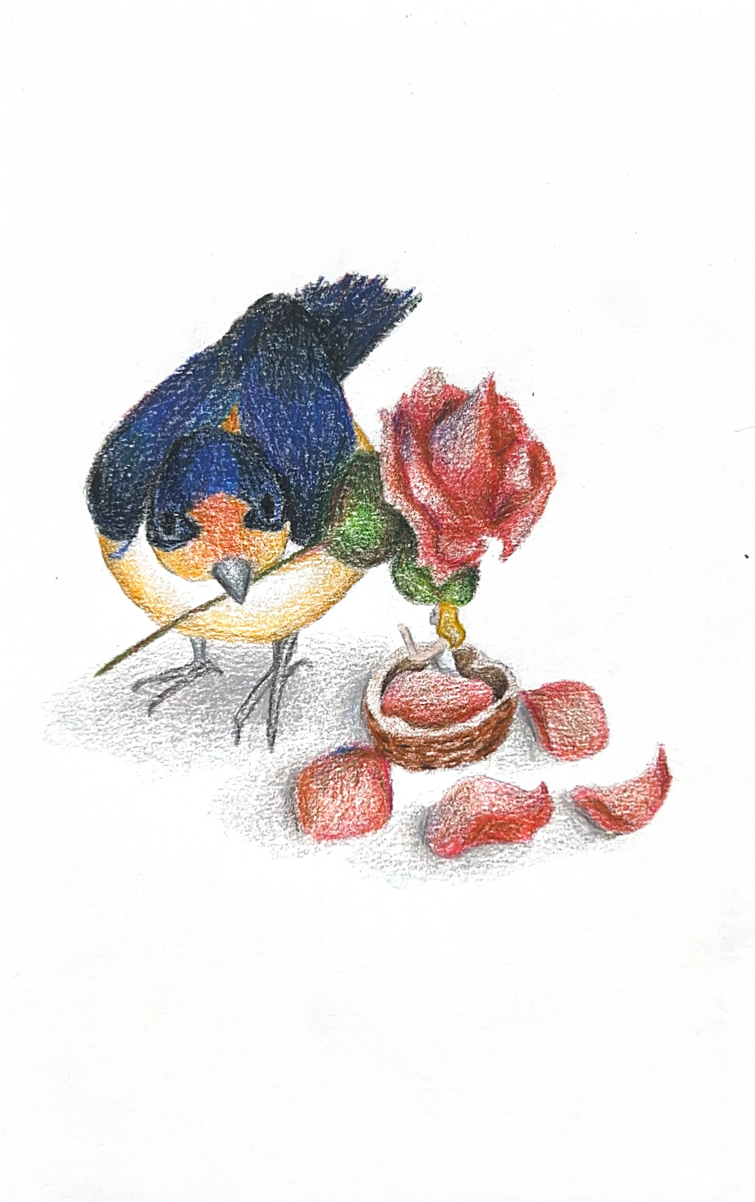 Thumbelina and the Sparrow, colored pencil, 7 x 5 inches, ©2025