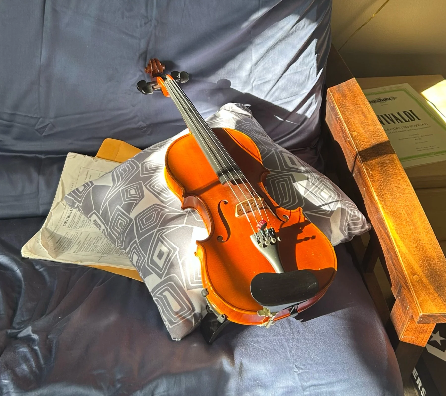 Sunlit Violin.jpg