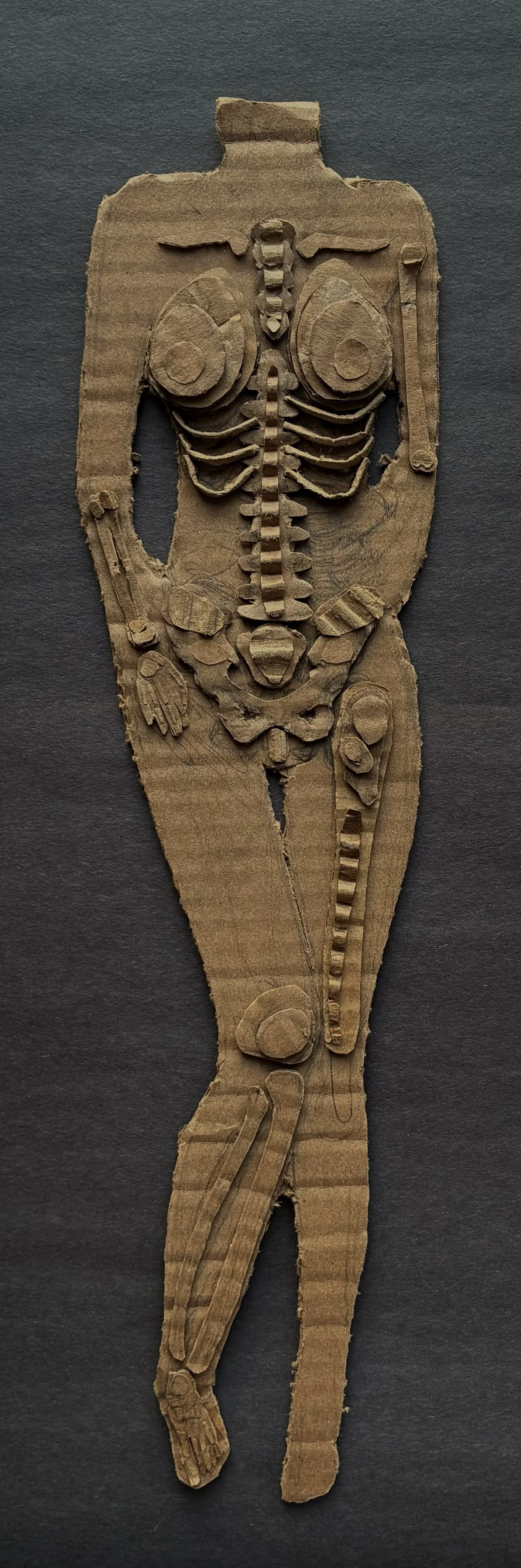 image--204-1.jpg