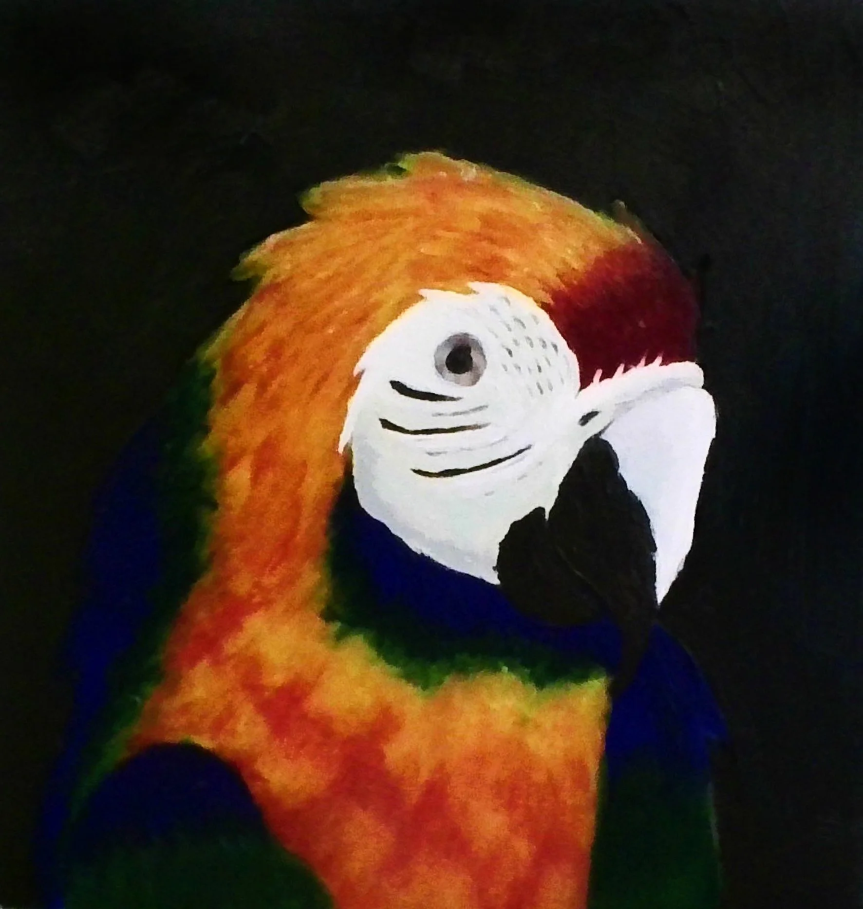Etta Parrot.jpg