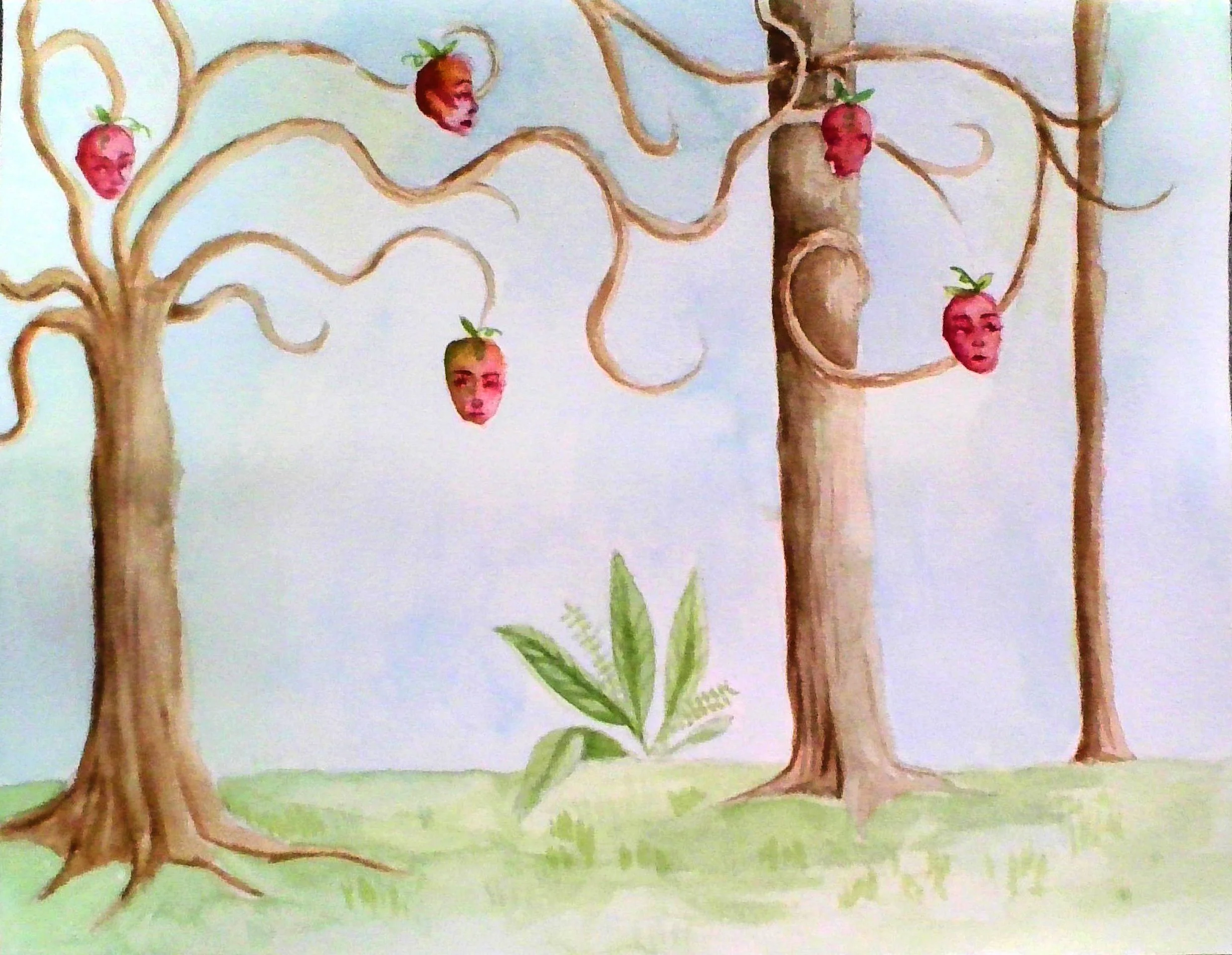 image--187-11.jpg