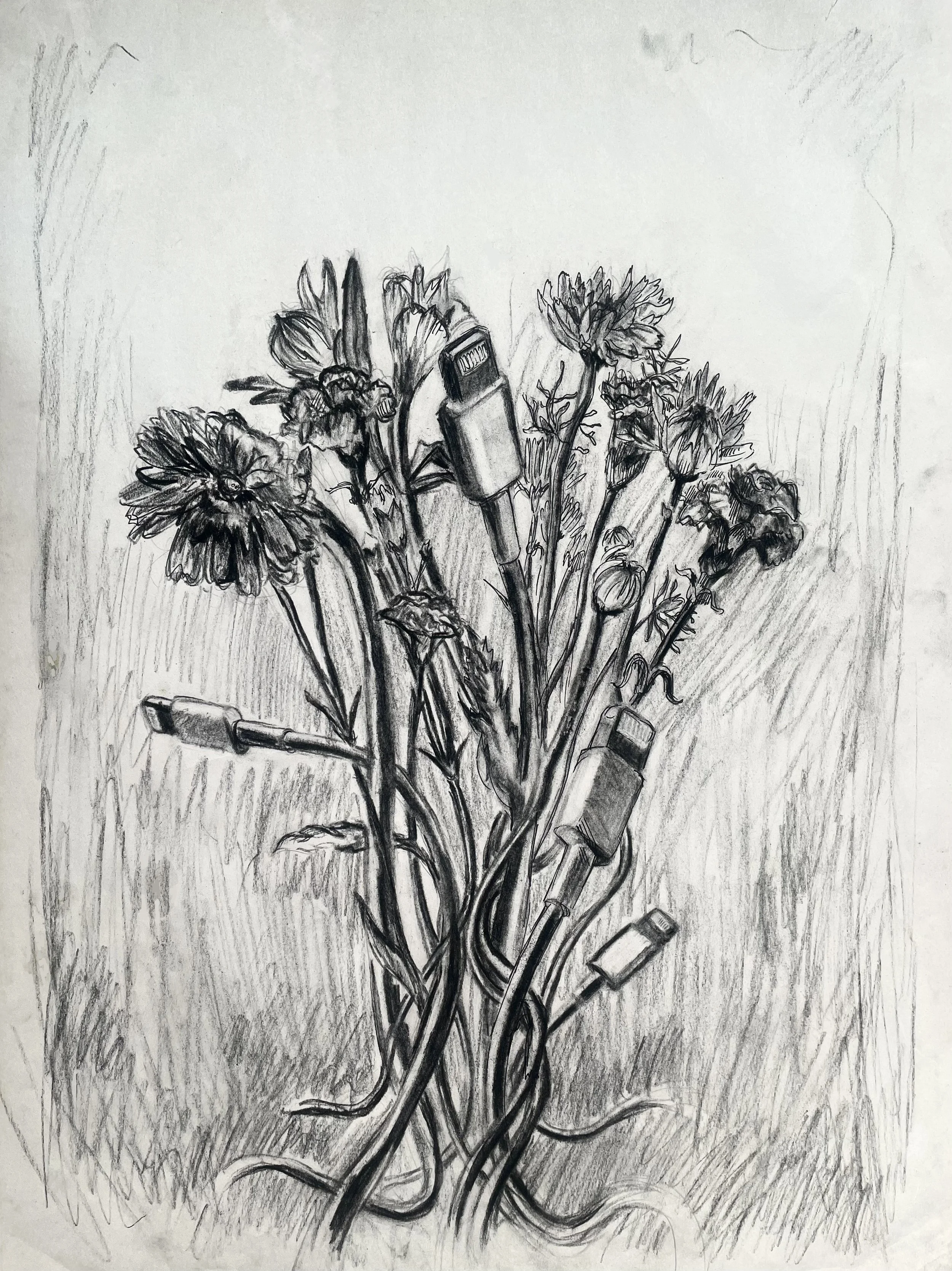 image--165-17.jpg